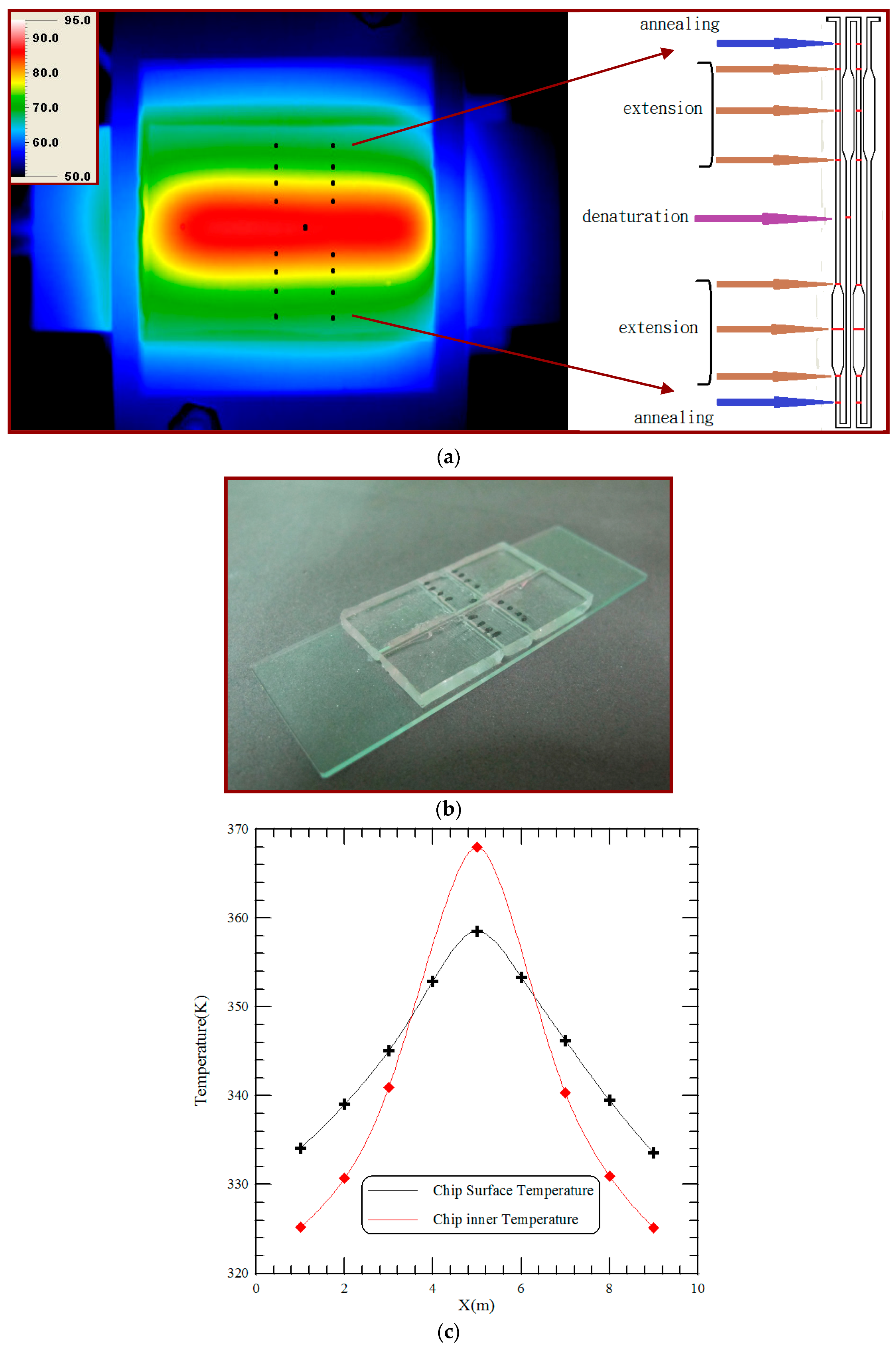 download mechanisms of atrial arrhythmias insights from the development of a biophysically detailed model of the human atria