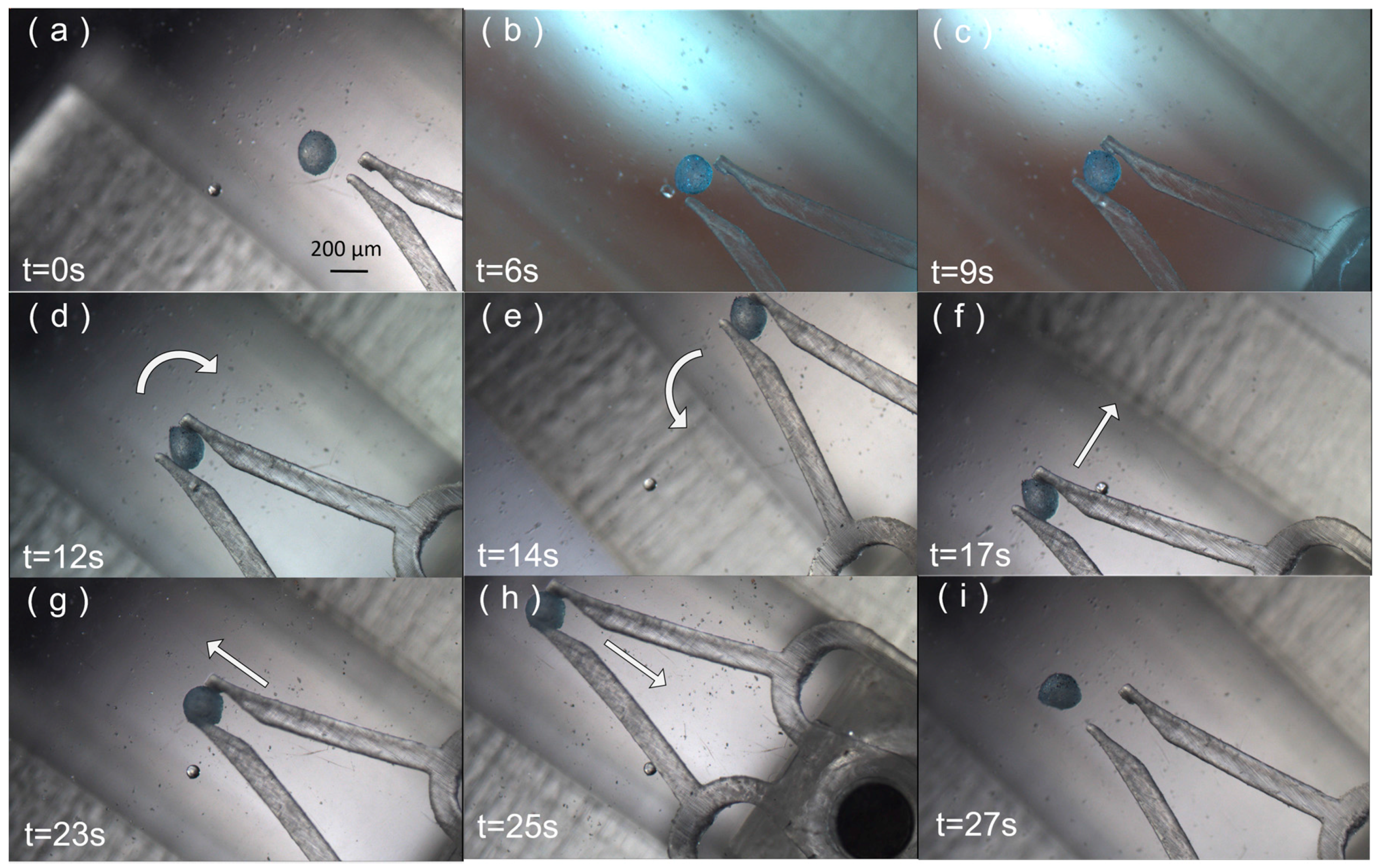 Micromachines 09 00050 g008