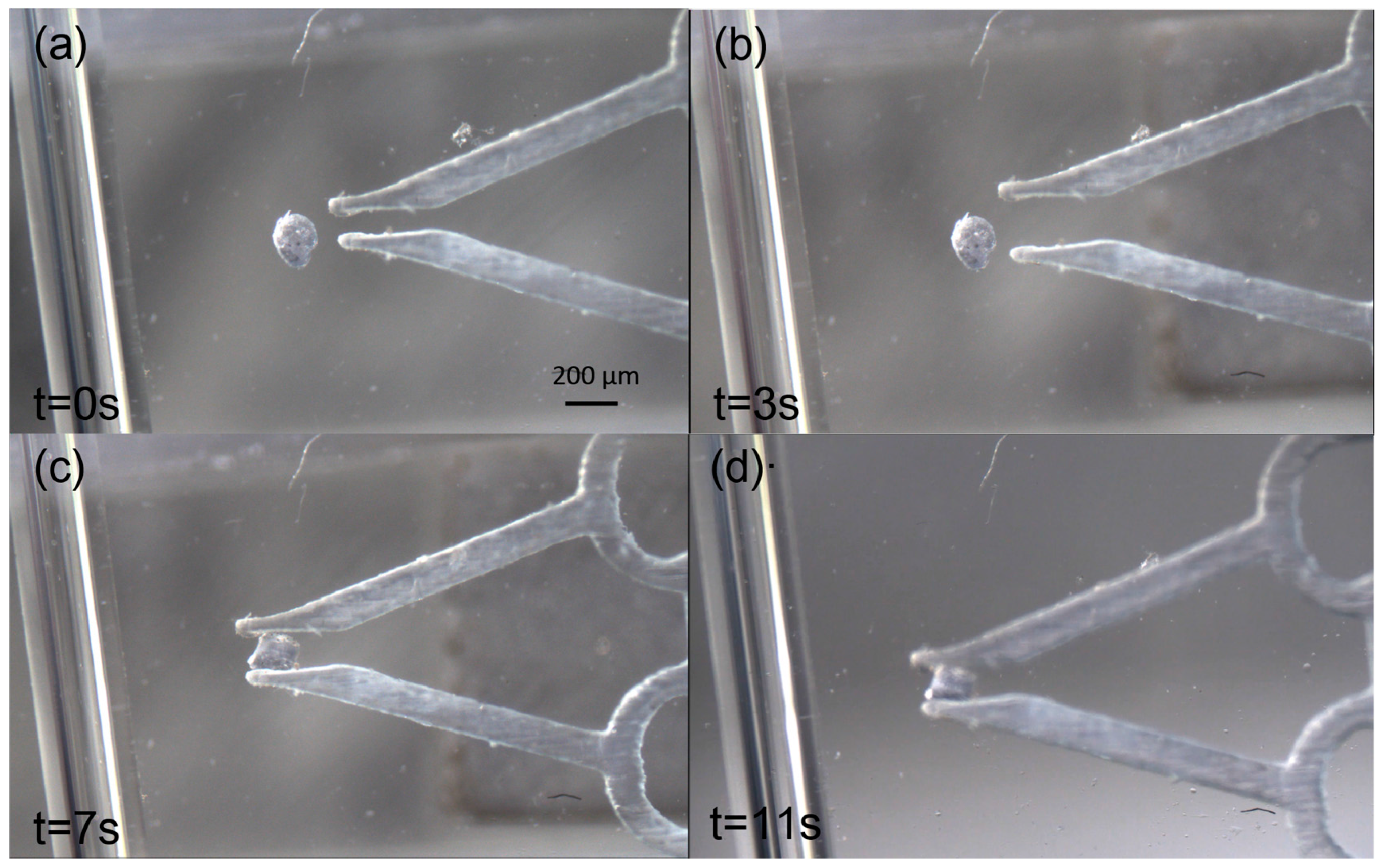 Micromachines 09 00050 g009