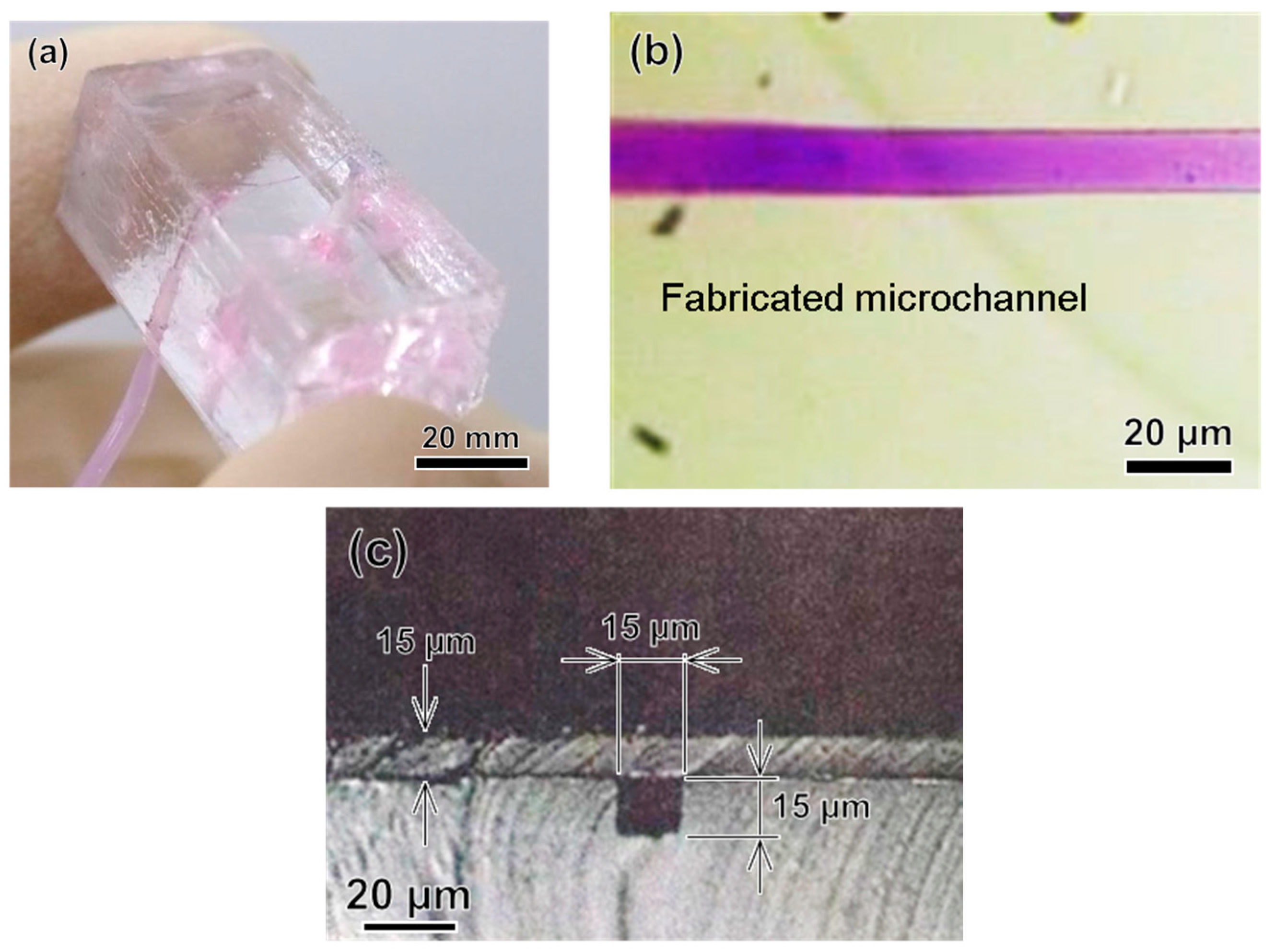 Micromachines 09 00101 g008