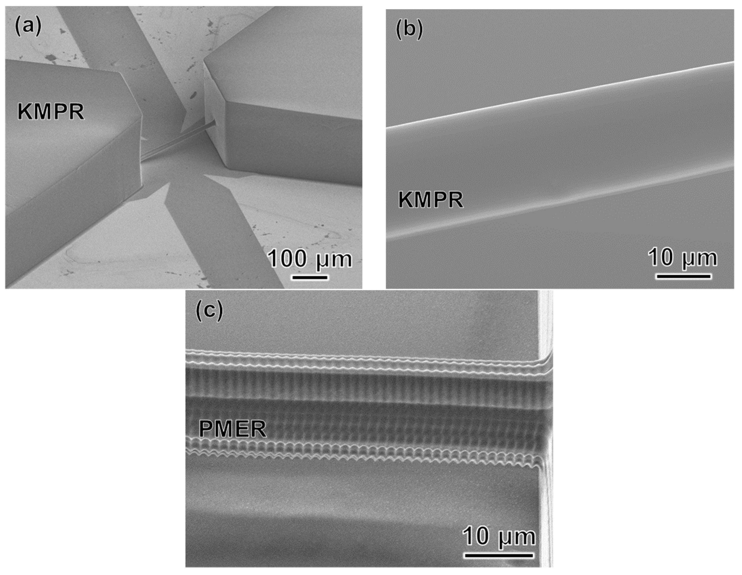 Micromachines 09 00101 g011