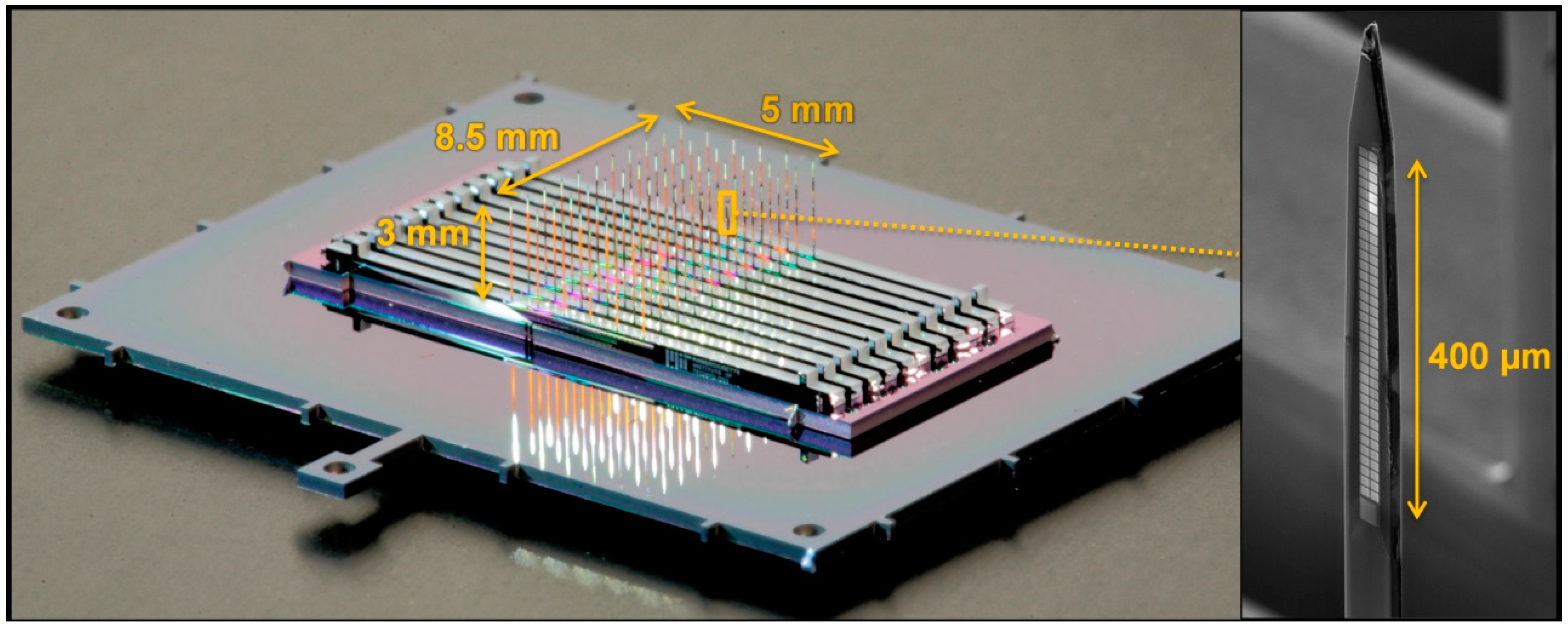 Micromachines 09 00436 g001