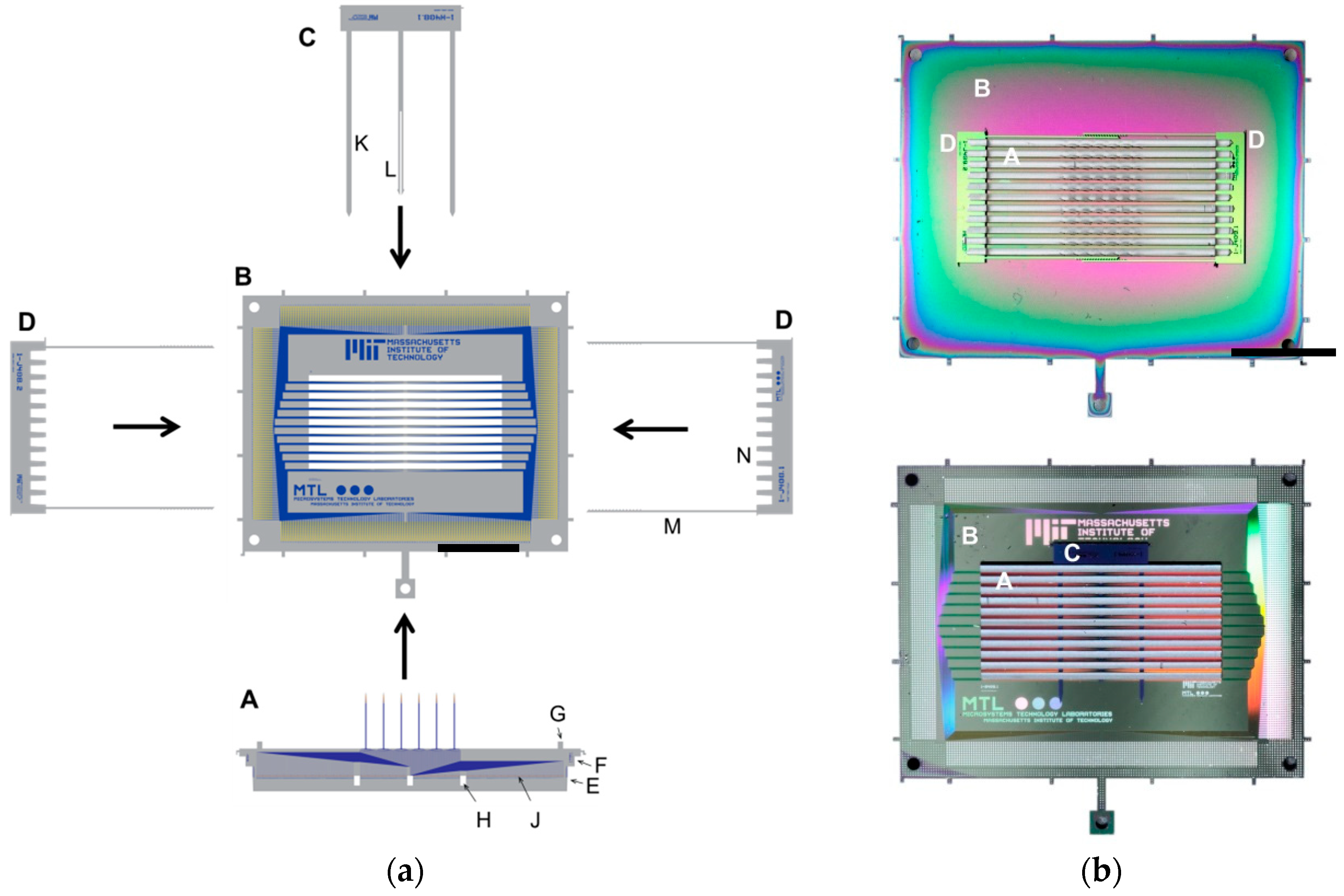Micromachines 09 00436 g002