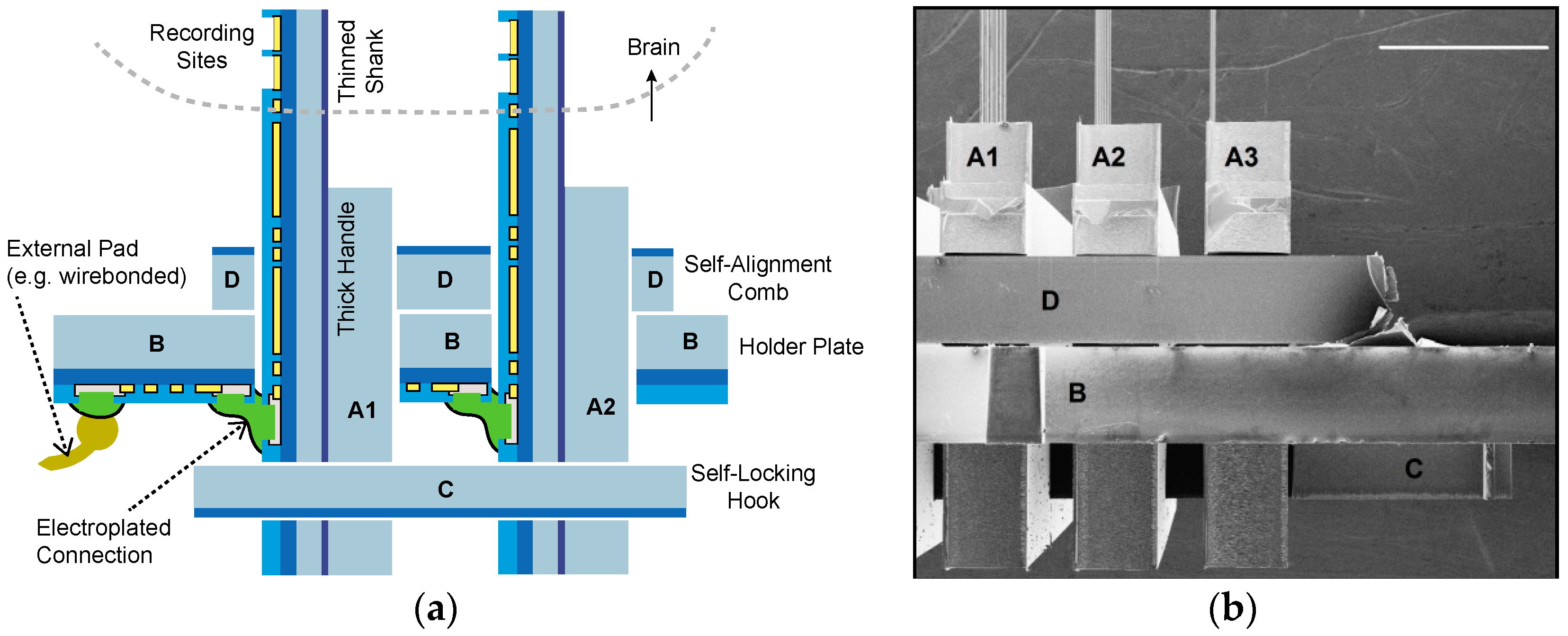 Micromachines 09 00436 g004