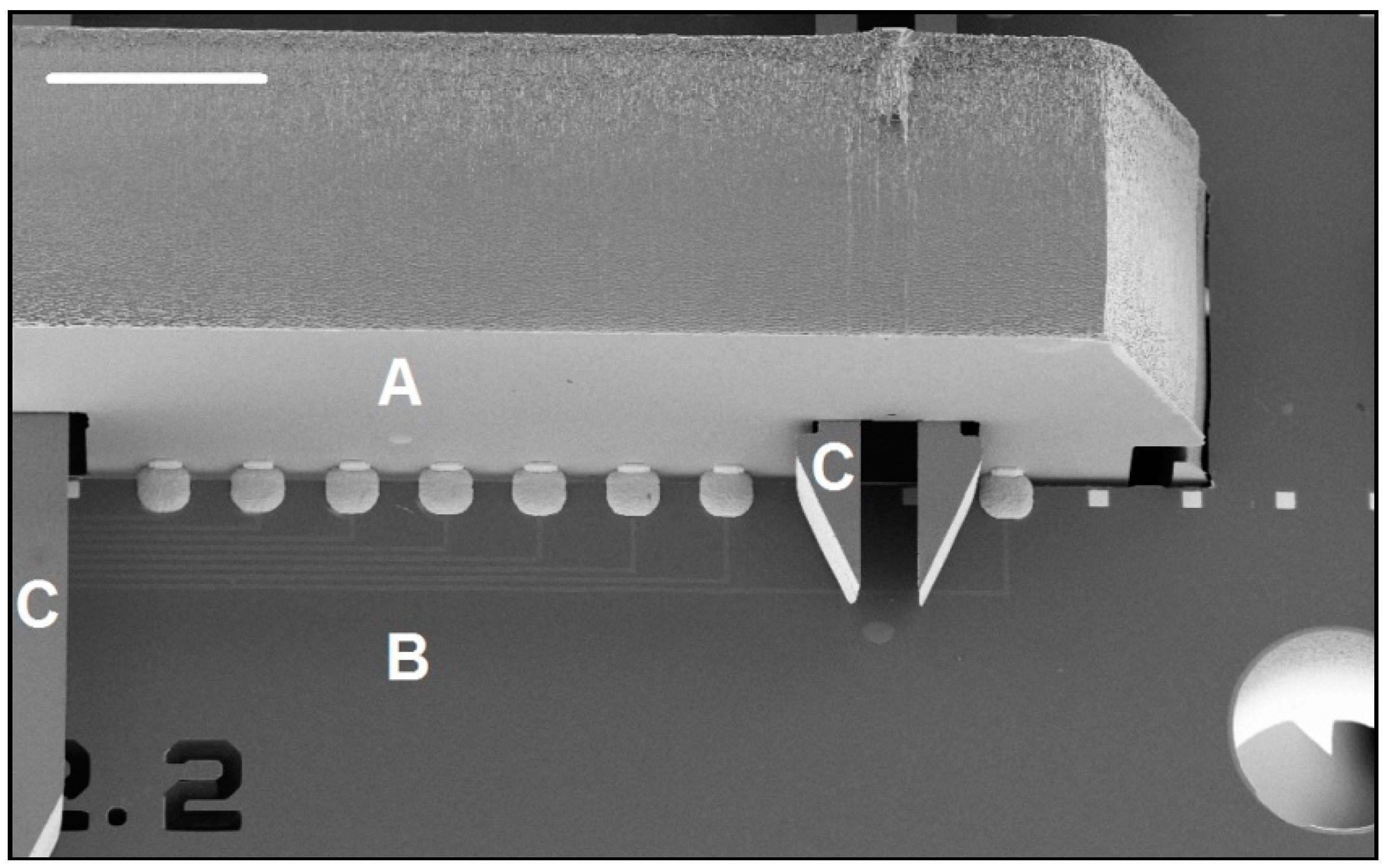 Micromachines 09 00436 g008