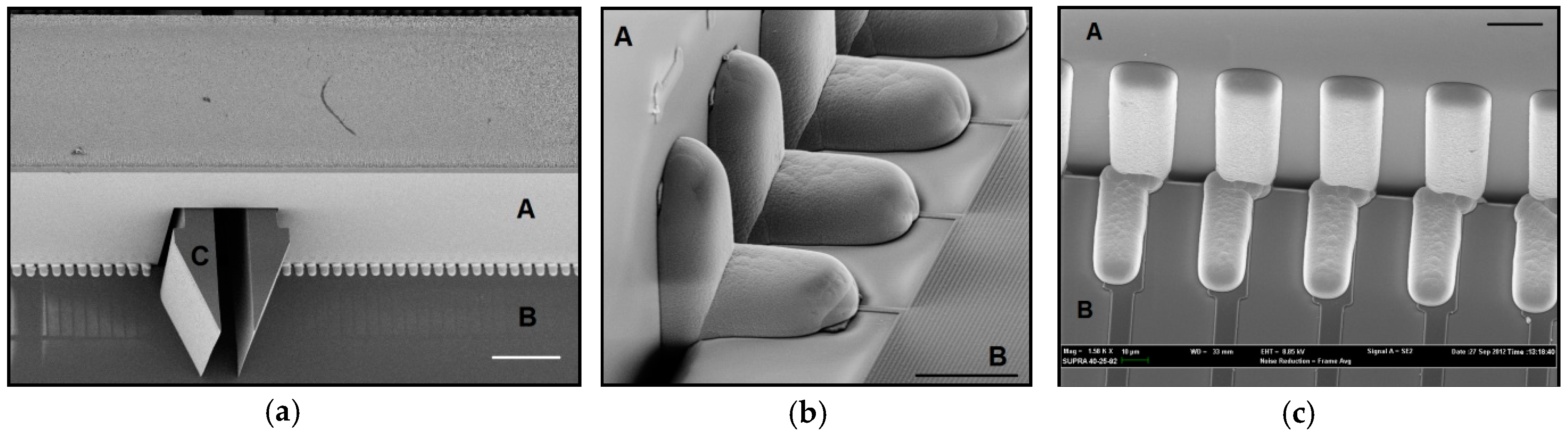 Micromachines 09 00436 g010