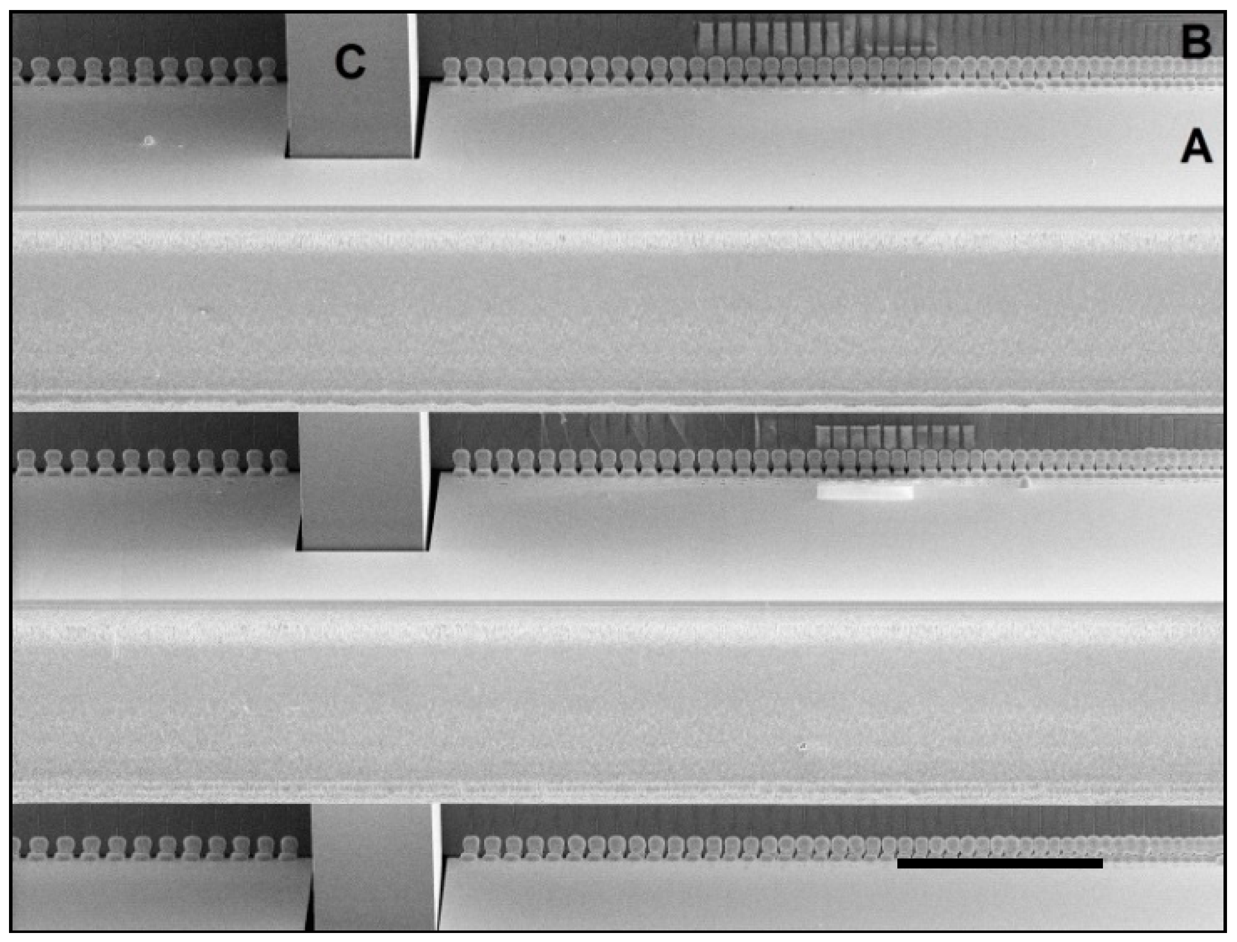 Micromachines 09 00436 g012