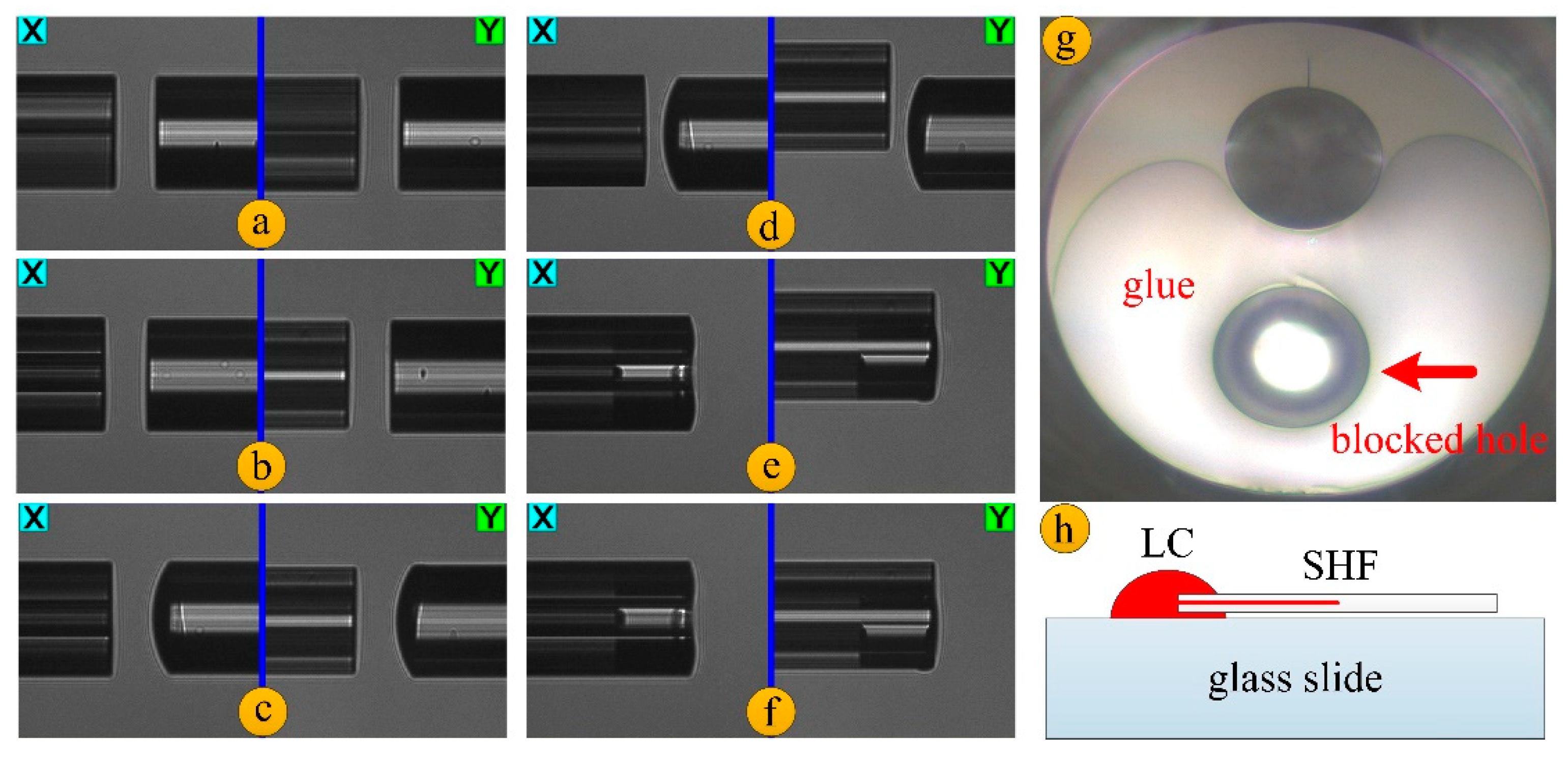 Micromachines 10 00761 g001