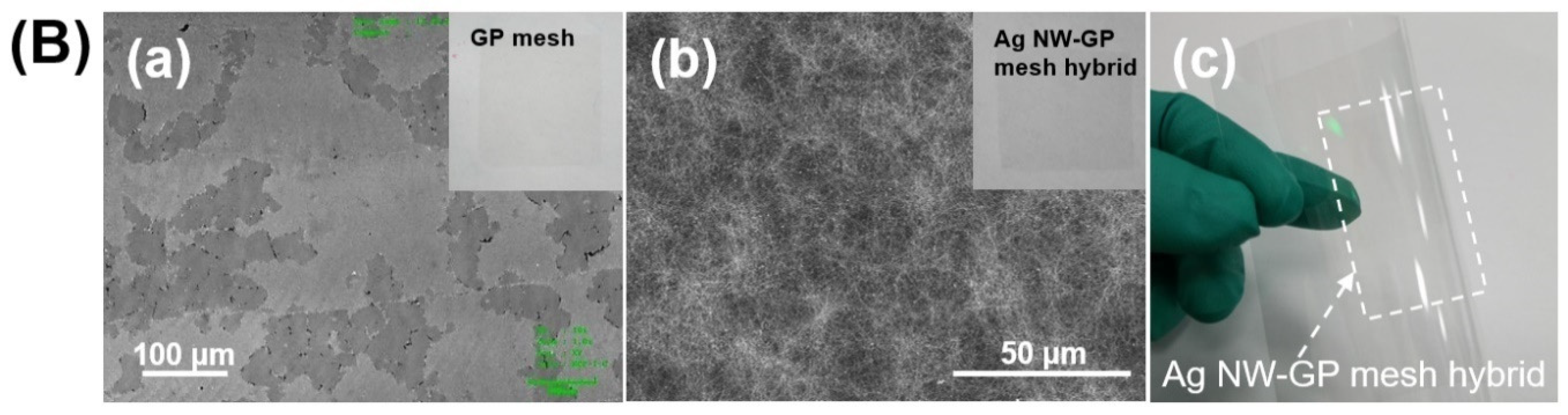 Micromachines 11 00578 g001b
