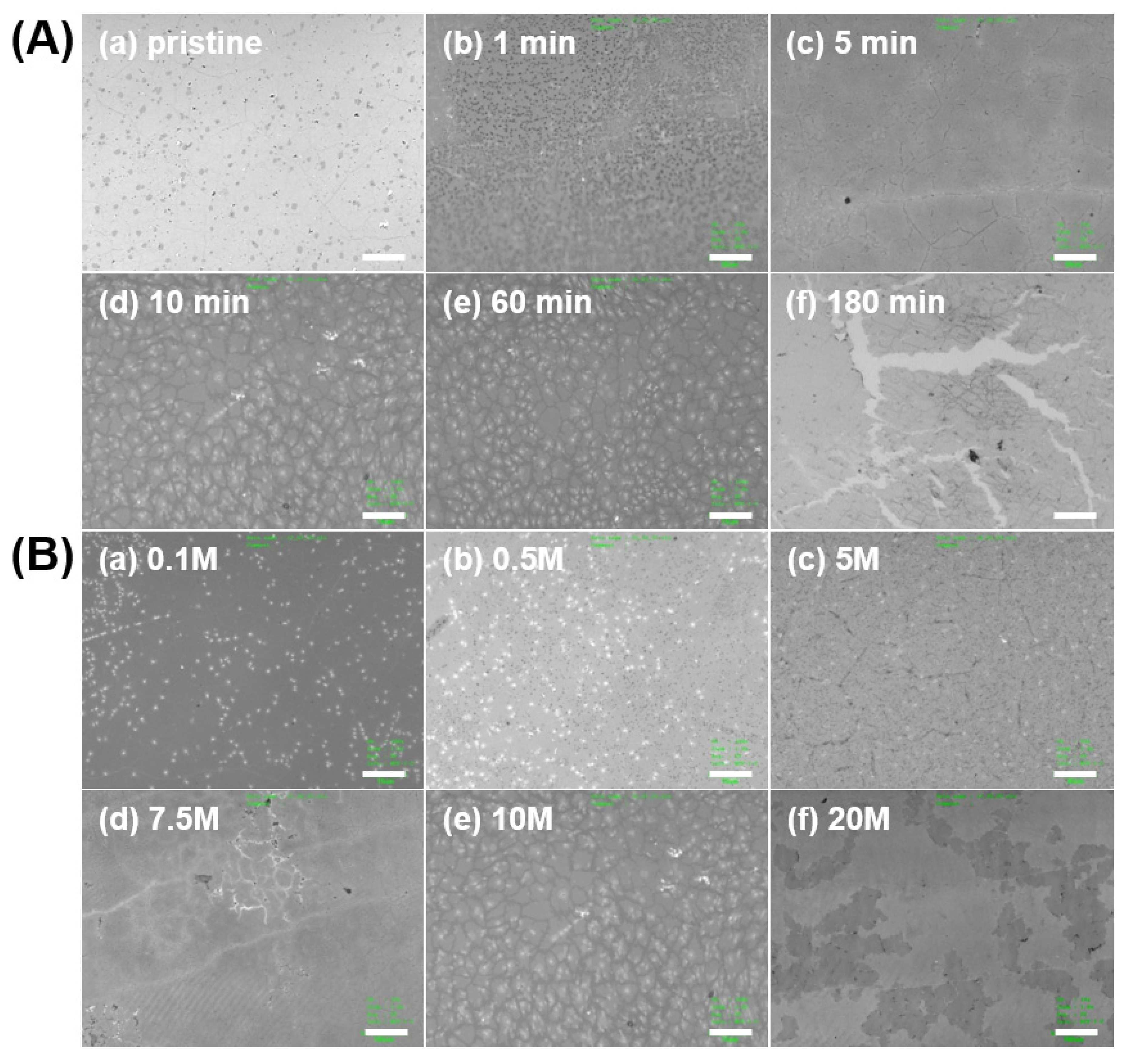 Micromachines 11 00578 g003