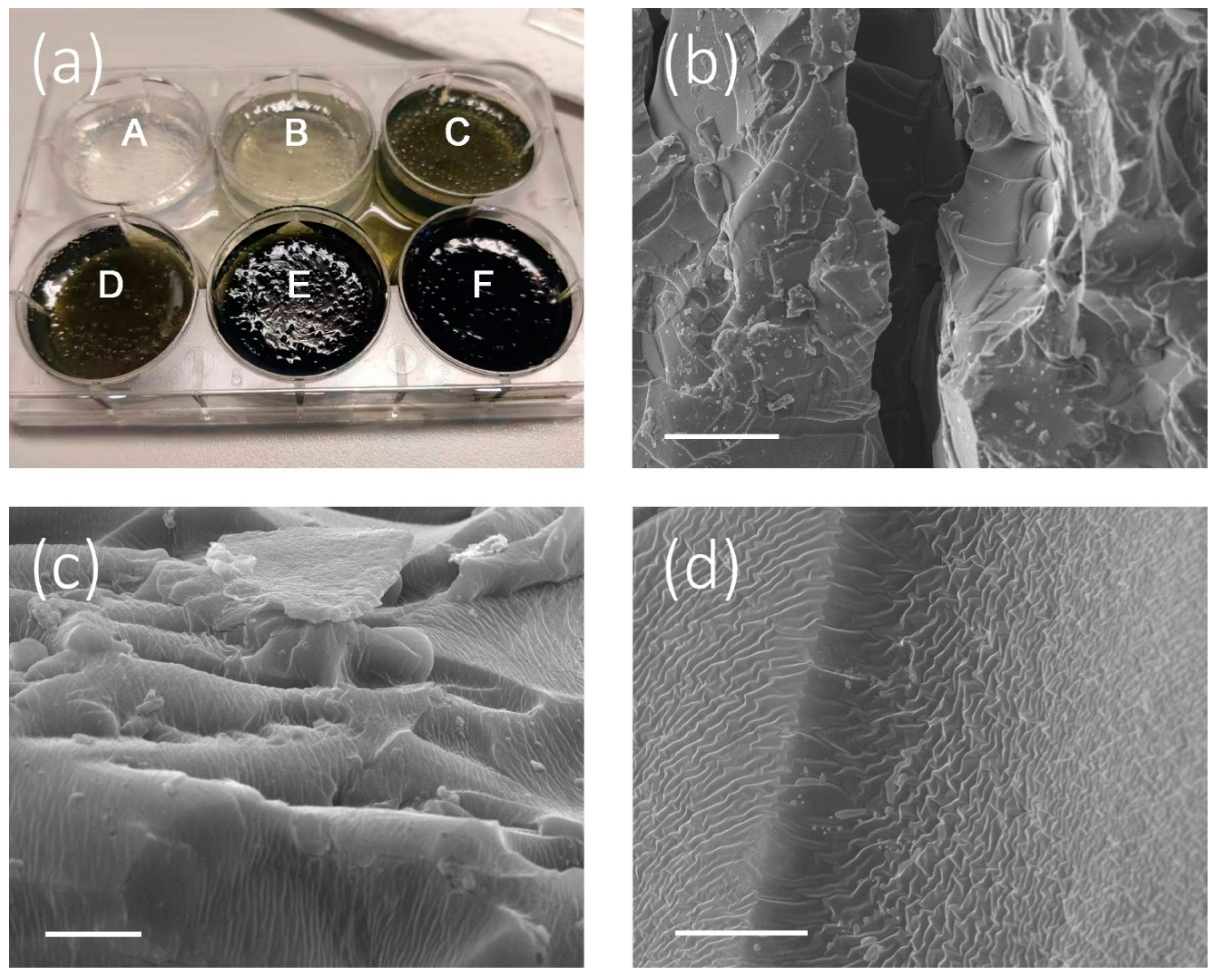 Micromachines 11 00867 g003
