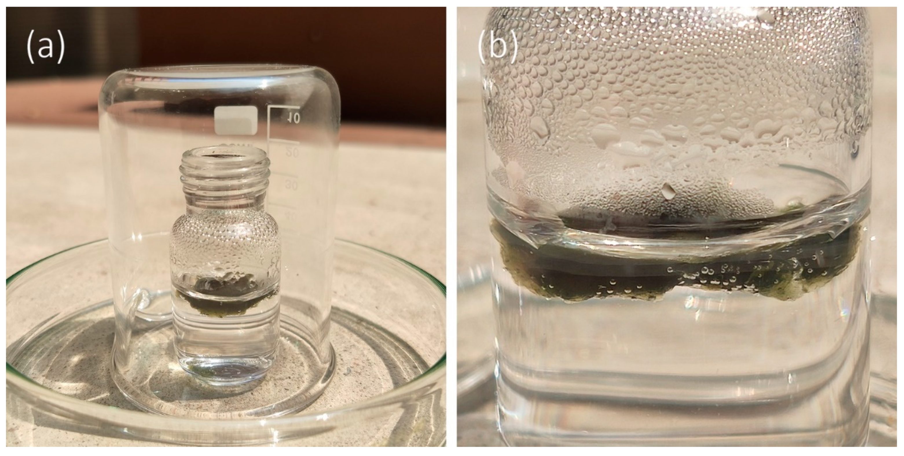 Micromachines 11 00867 g007