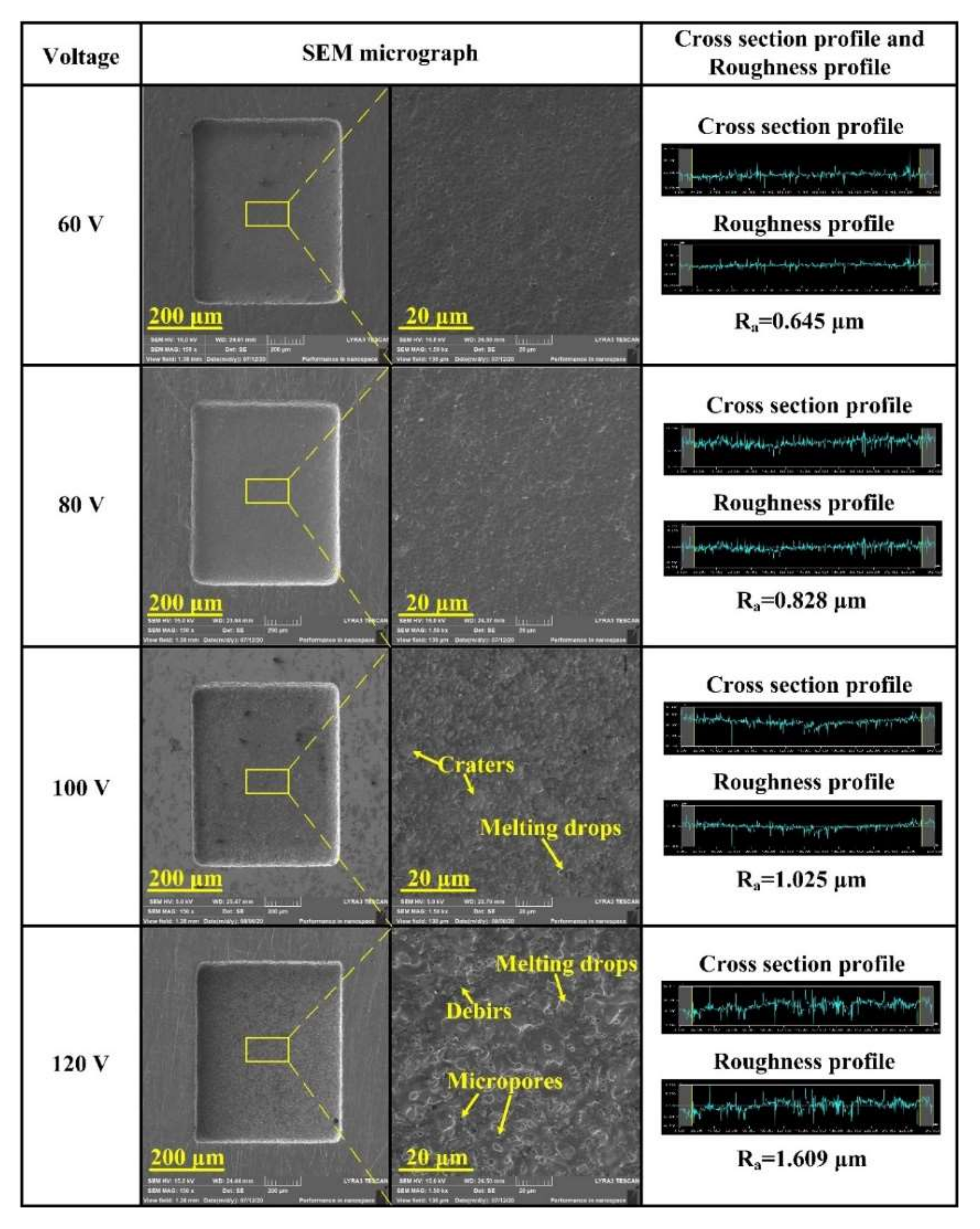 Micromachines 11 01018 g008