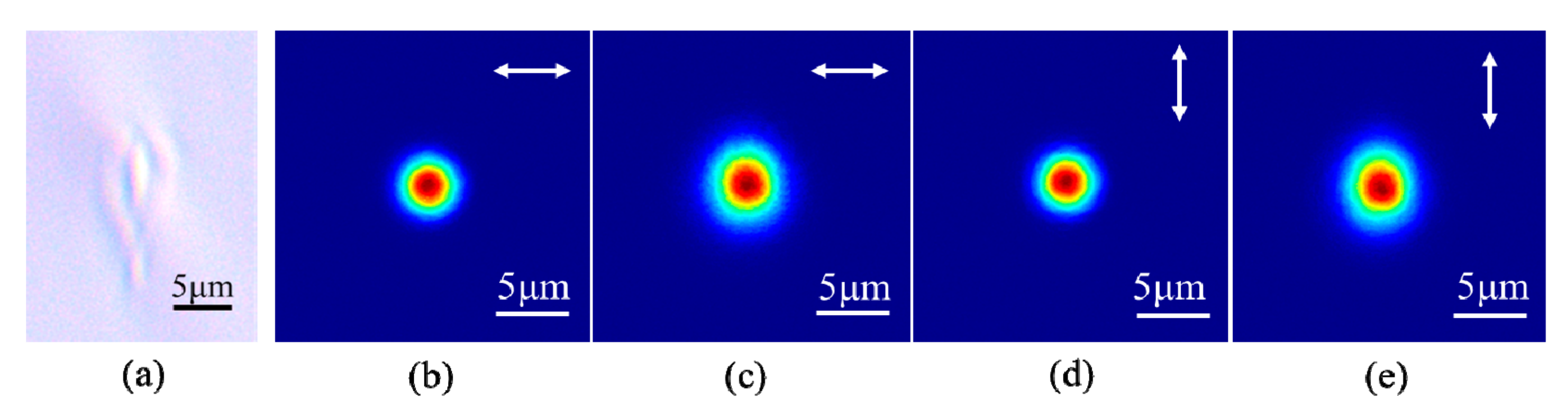 Micromachines 11 01111 g002