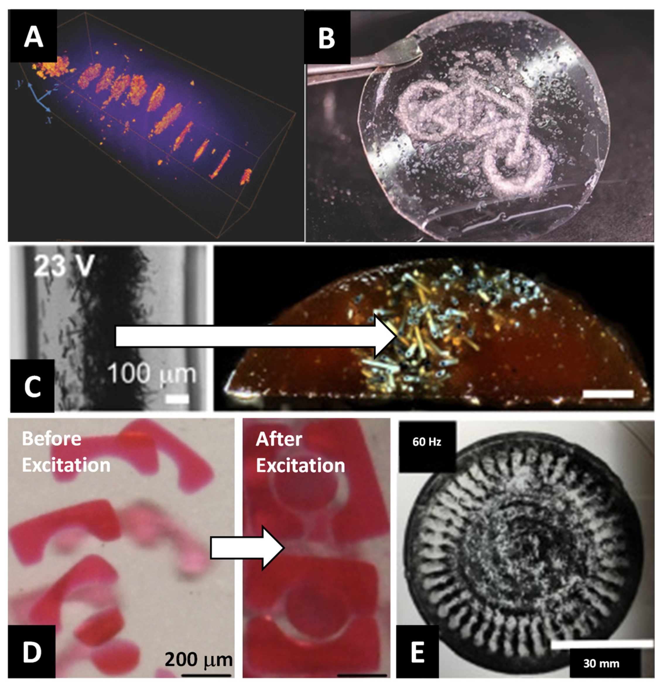 Micromachines 12 00935 g005