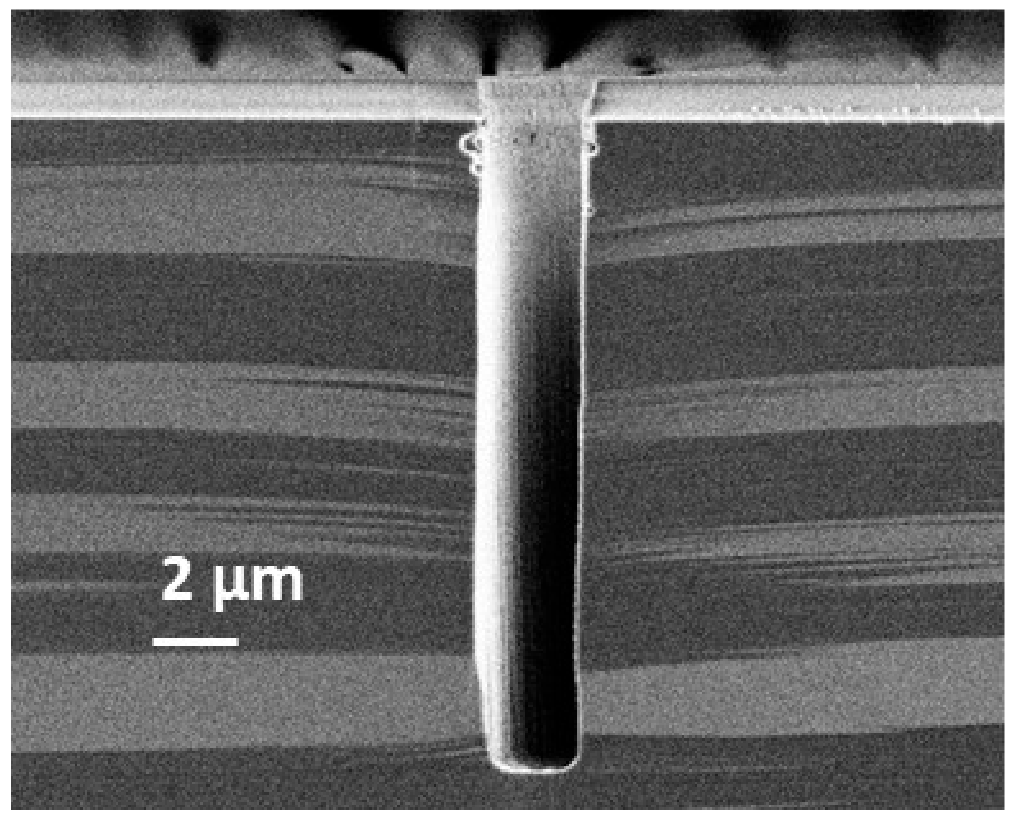 Micromachines 12 01143 g005