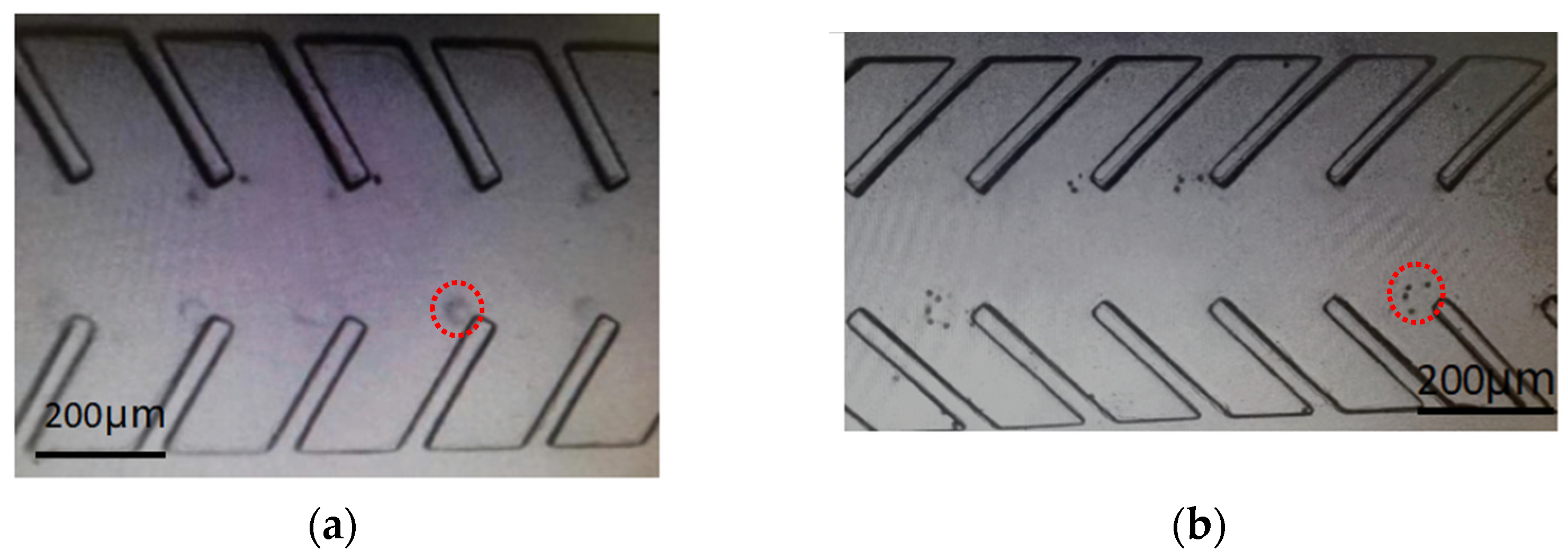 Micromachines 14 00860 g007