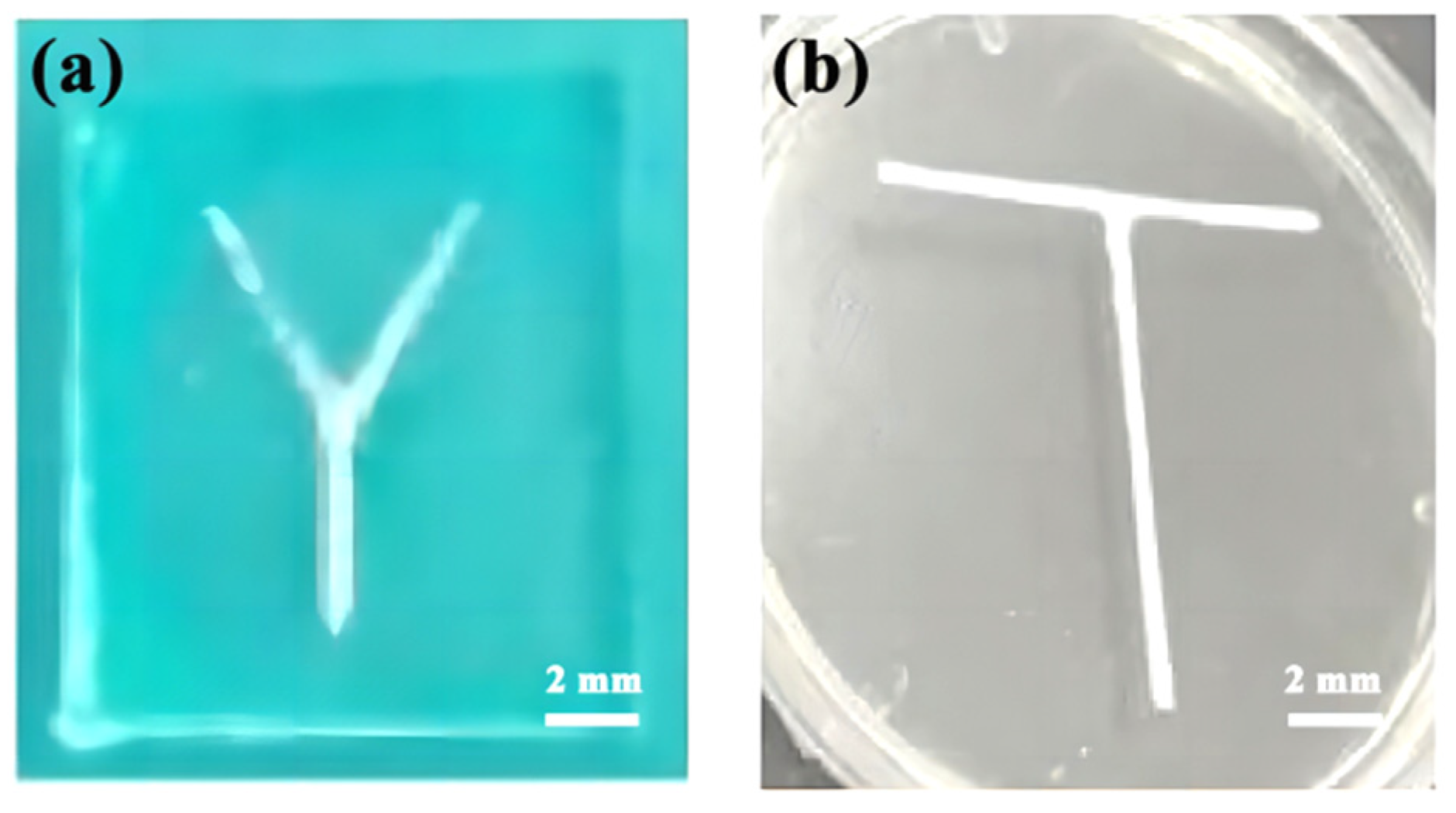 Micromachines 14 01302 g003