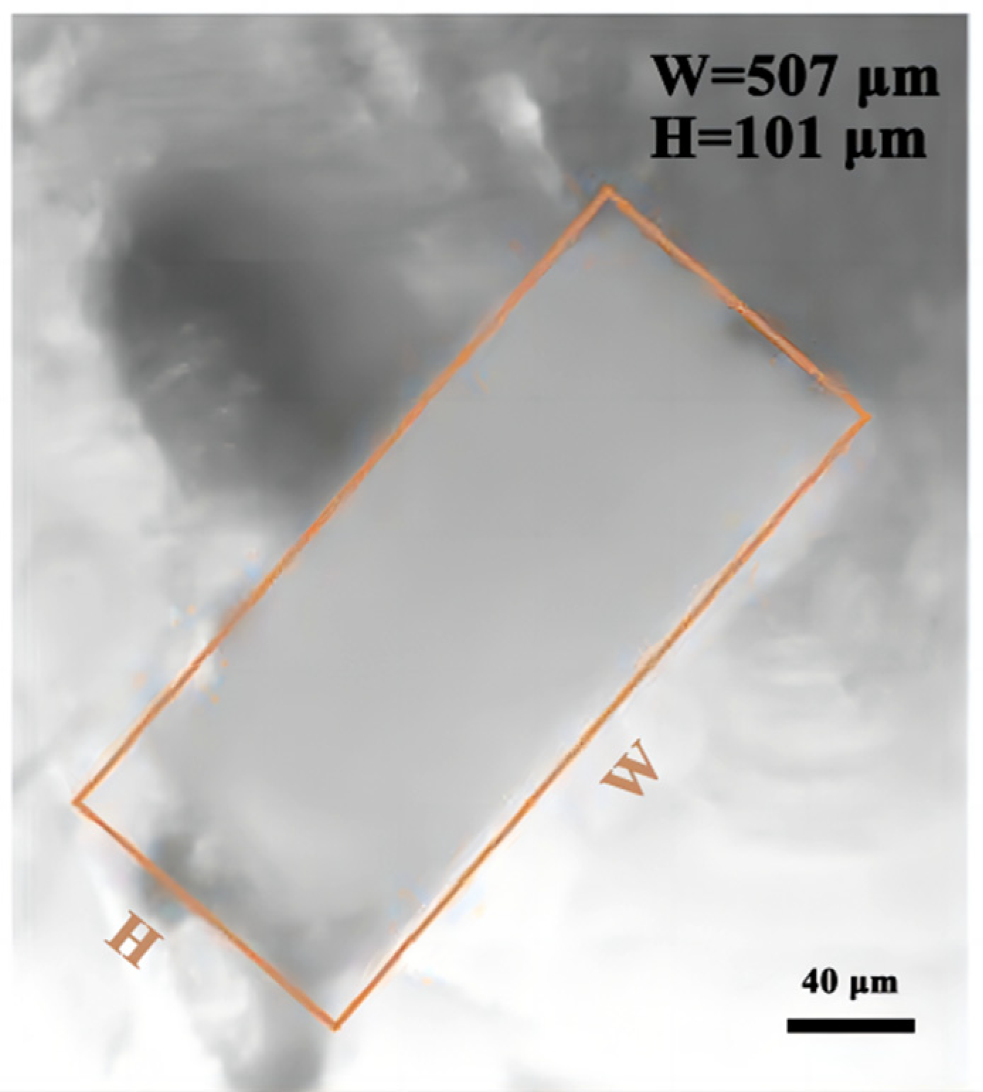 Micromachines 14 01302 g009