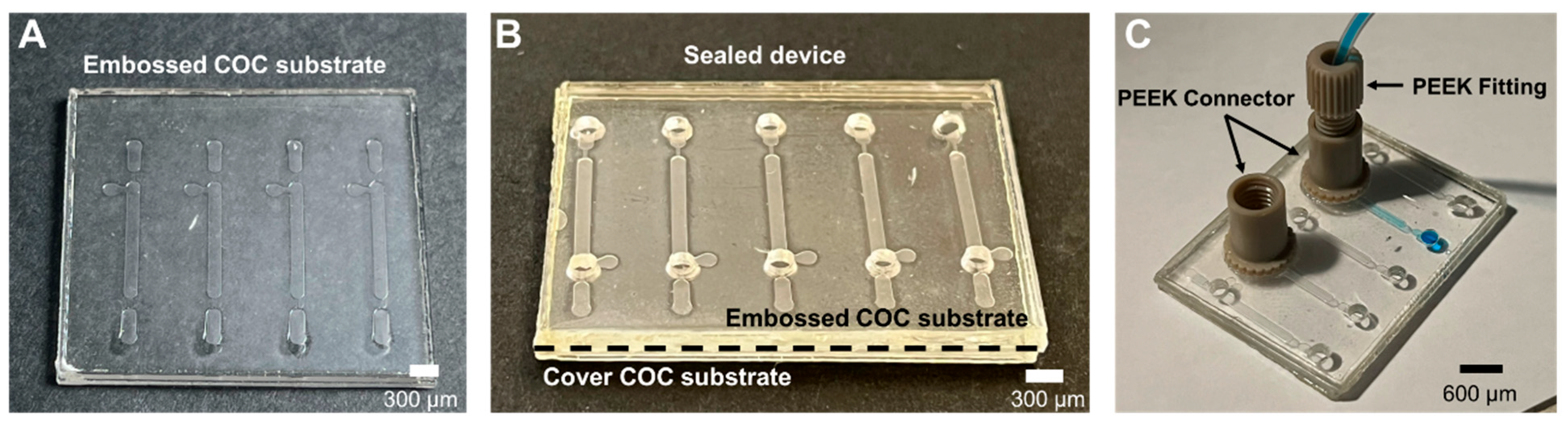 Micromachines 14 01837 g002
