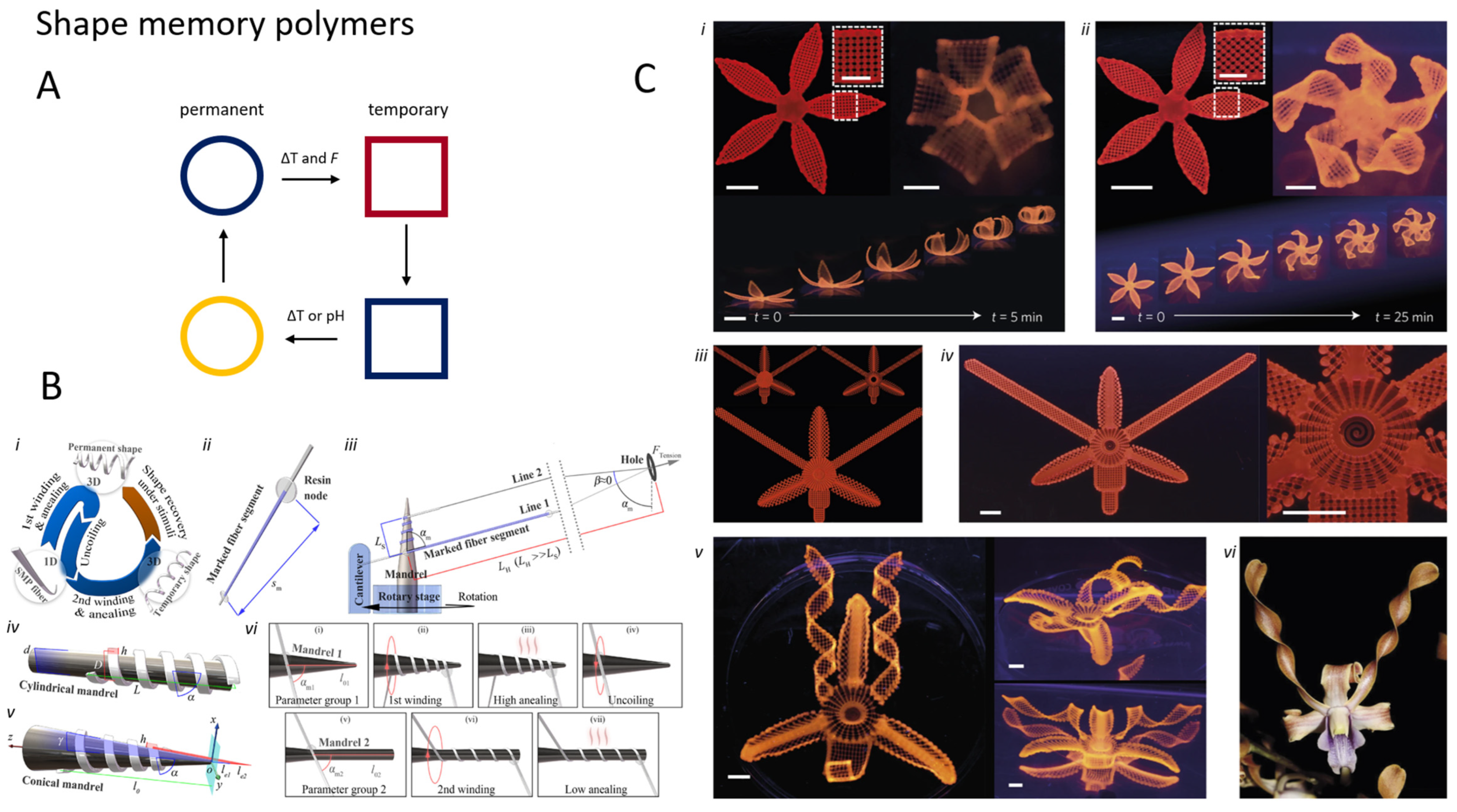 Micromachines 15 00275 g007