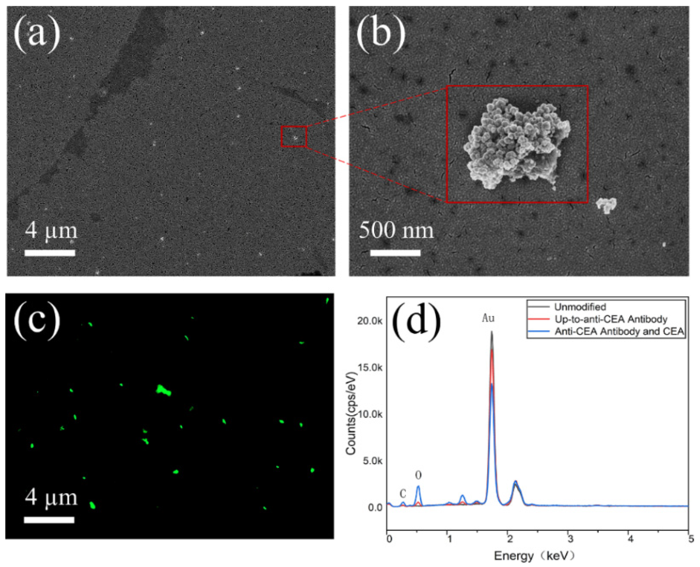 Micromachines 15 00580 g003