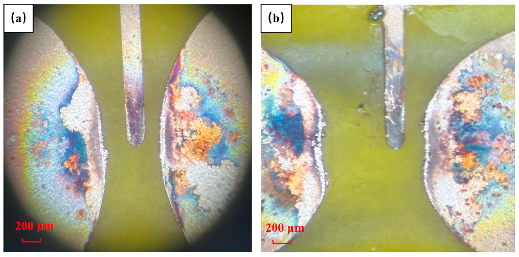 Micromachines 15 00586 g010