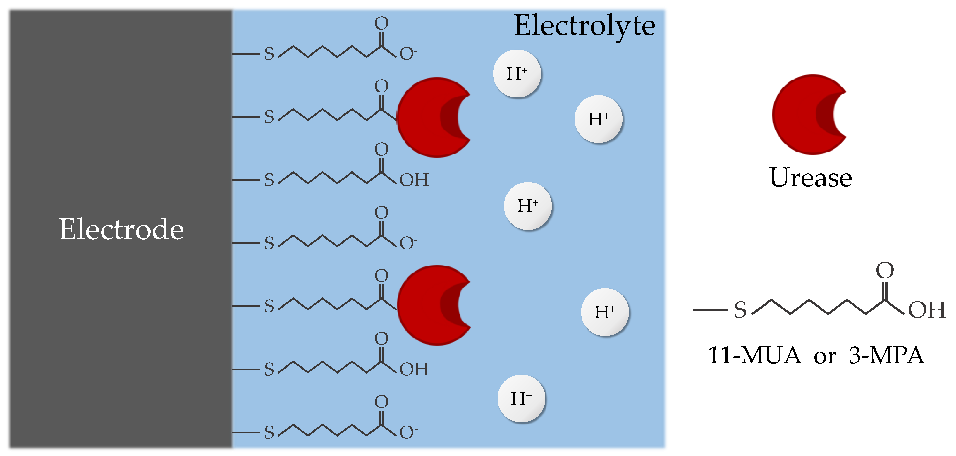 Micromachines 15 00621 g009