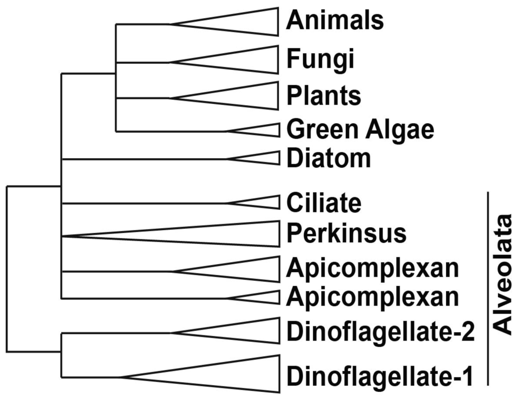 Microorganisms 01 00071 g004 1024