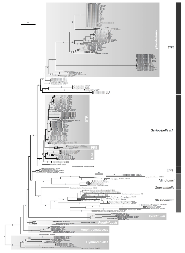 Microorganisms 01 00122 g001 1024