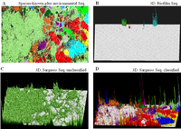 Microorganisms 01 00137 g002 200