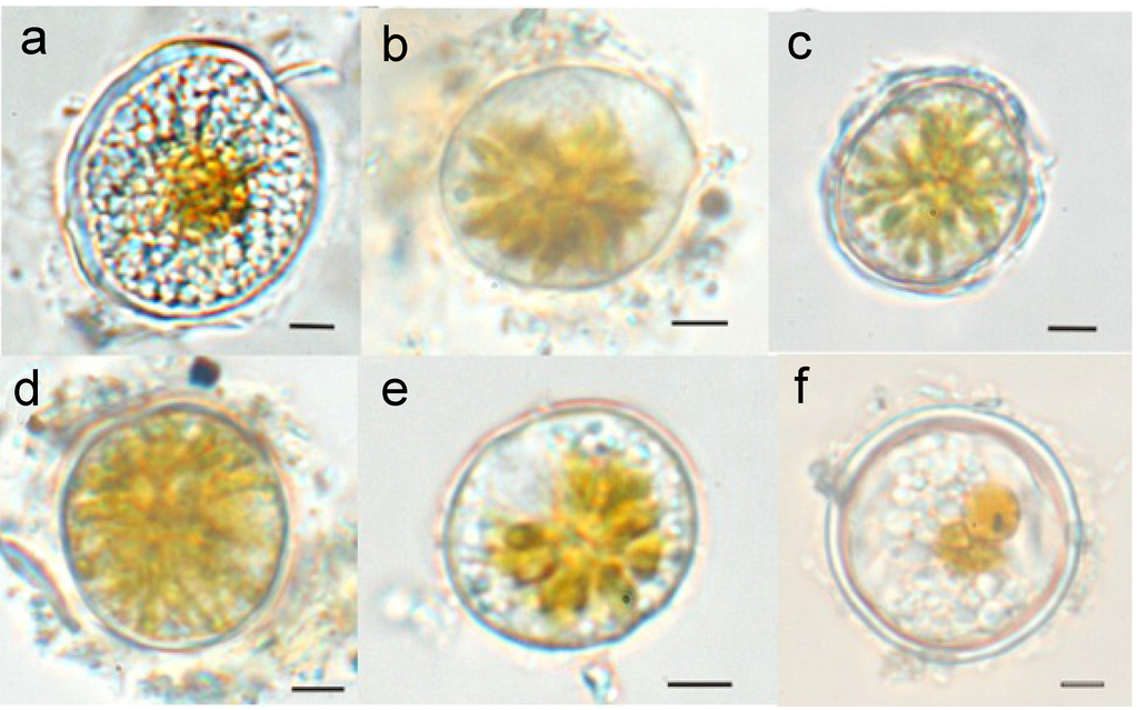 Microorganisms 02 00011 g003 1024