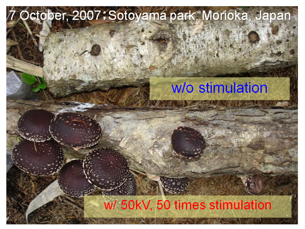 Microorganisms 02 00058 g007 1024