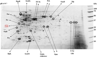 Microorganisms 02 00092 g002 200