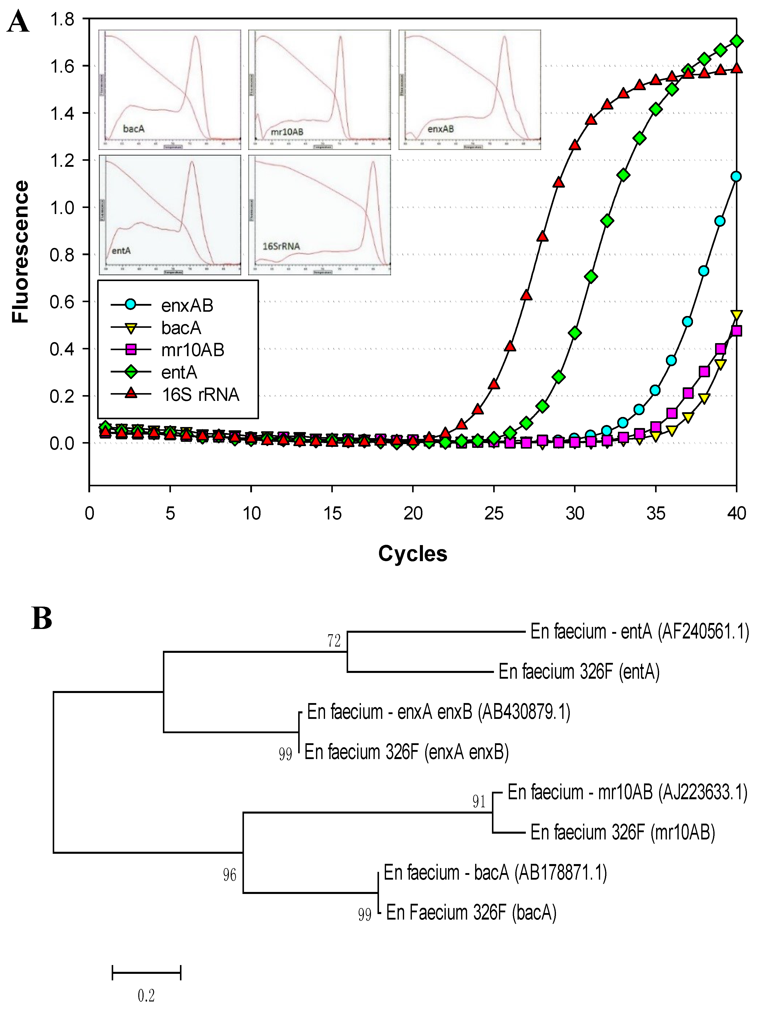 Microorganisms 03 00001 g002