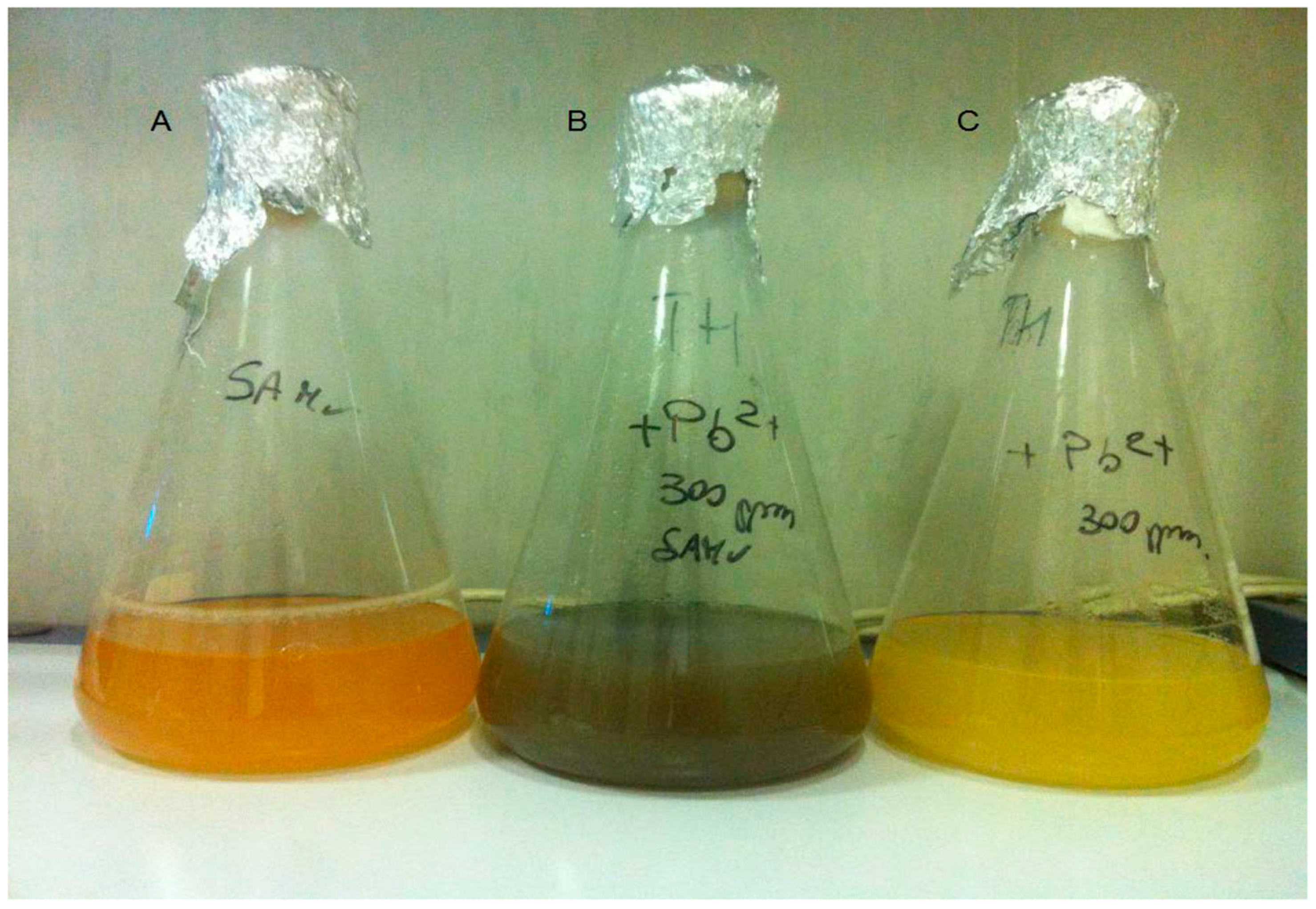 Microorganisms 04 00045 g002