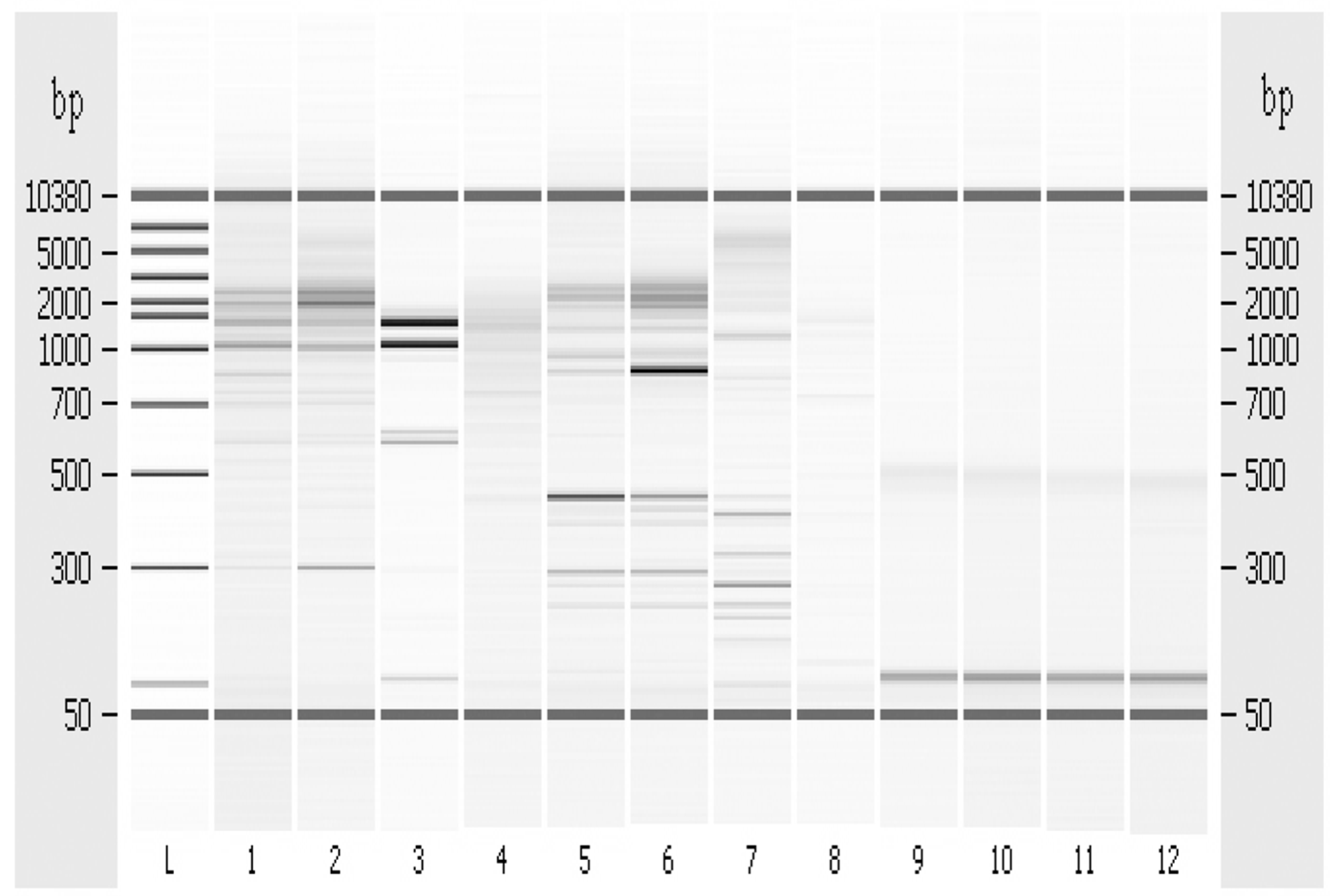Microorganisms 04 00045 g007