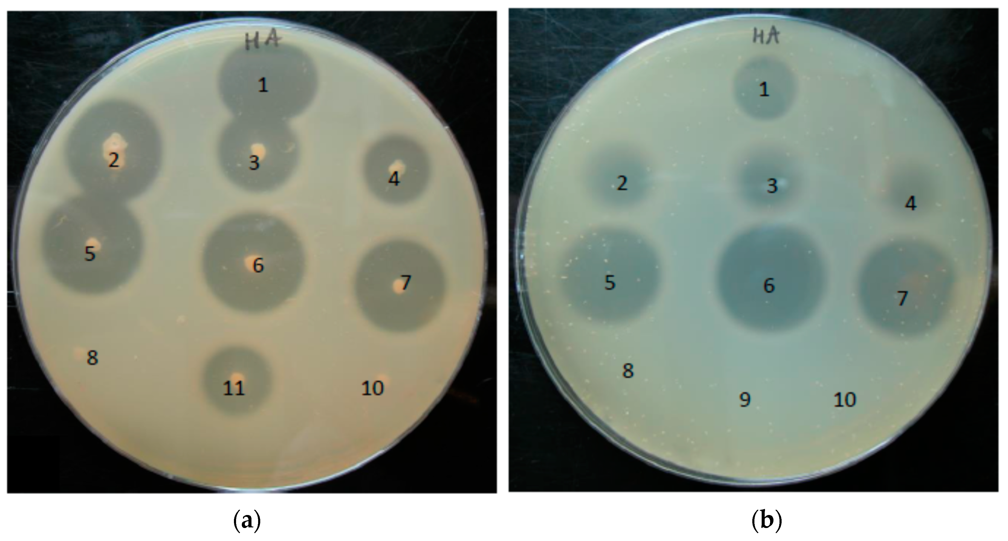 Microorganisms 05 00057 g005