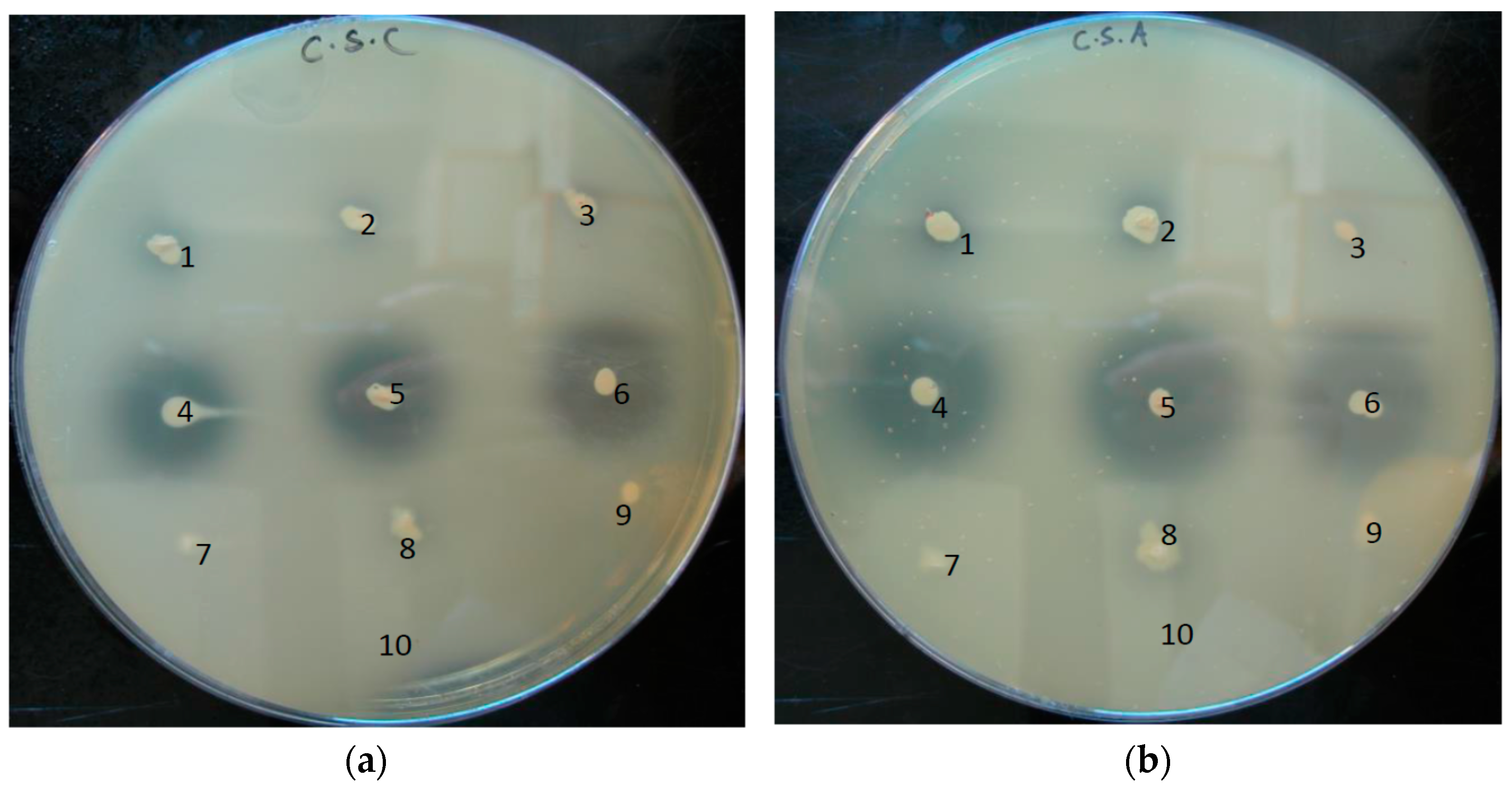 Microorganisms 05 00057 g006