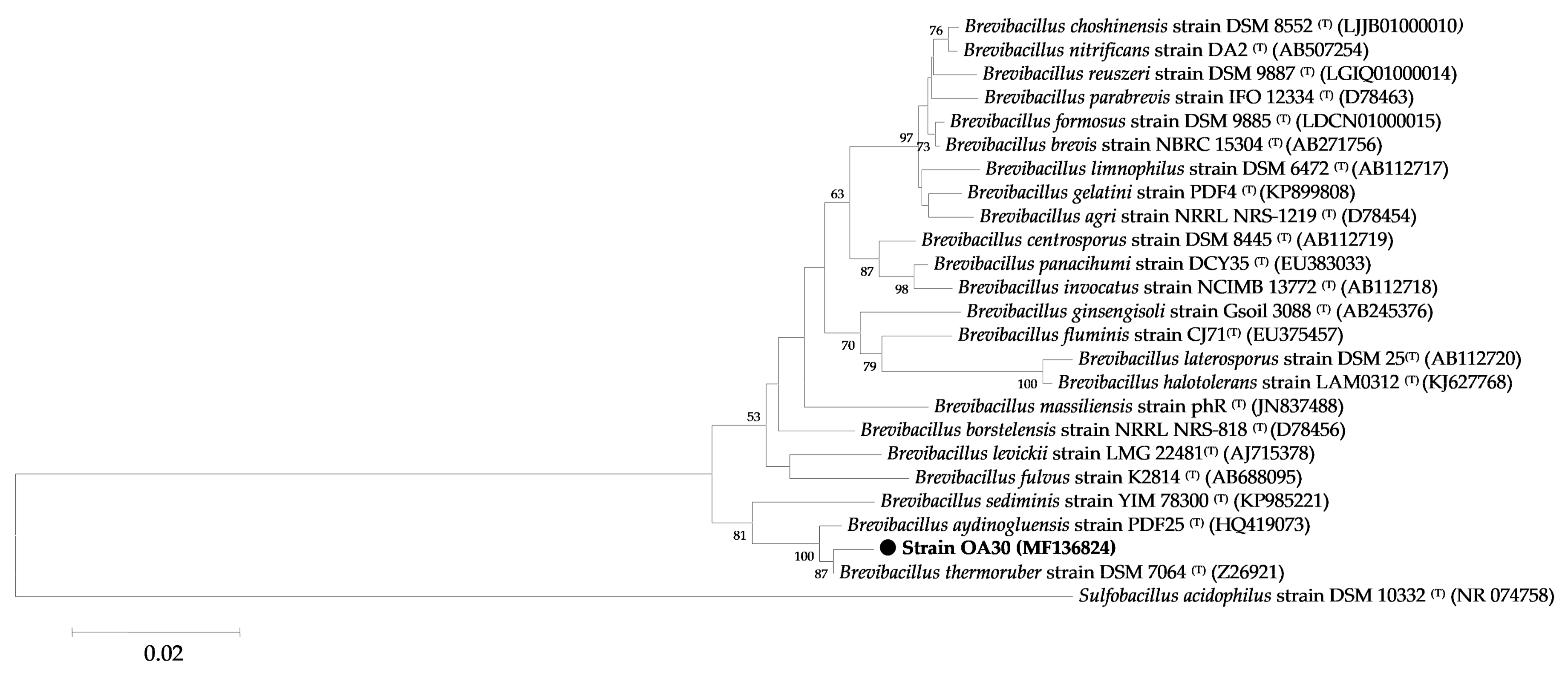 Microorganisms 06 00031 g003