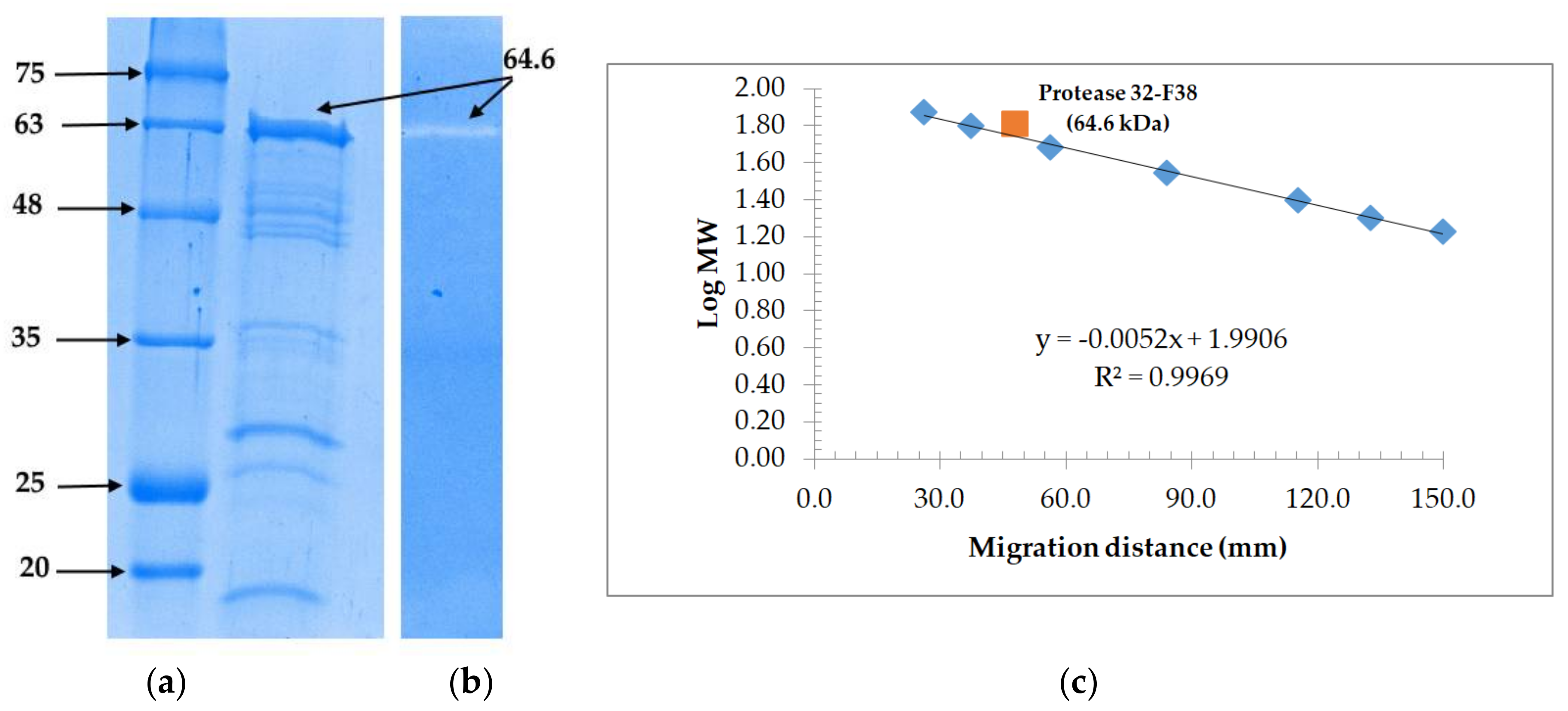 Microorganisms 06 00031 g006