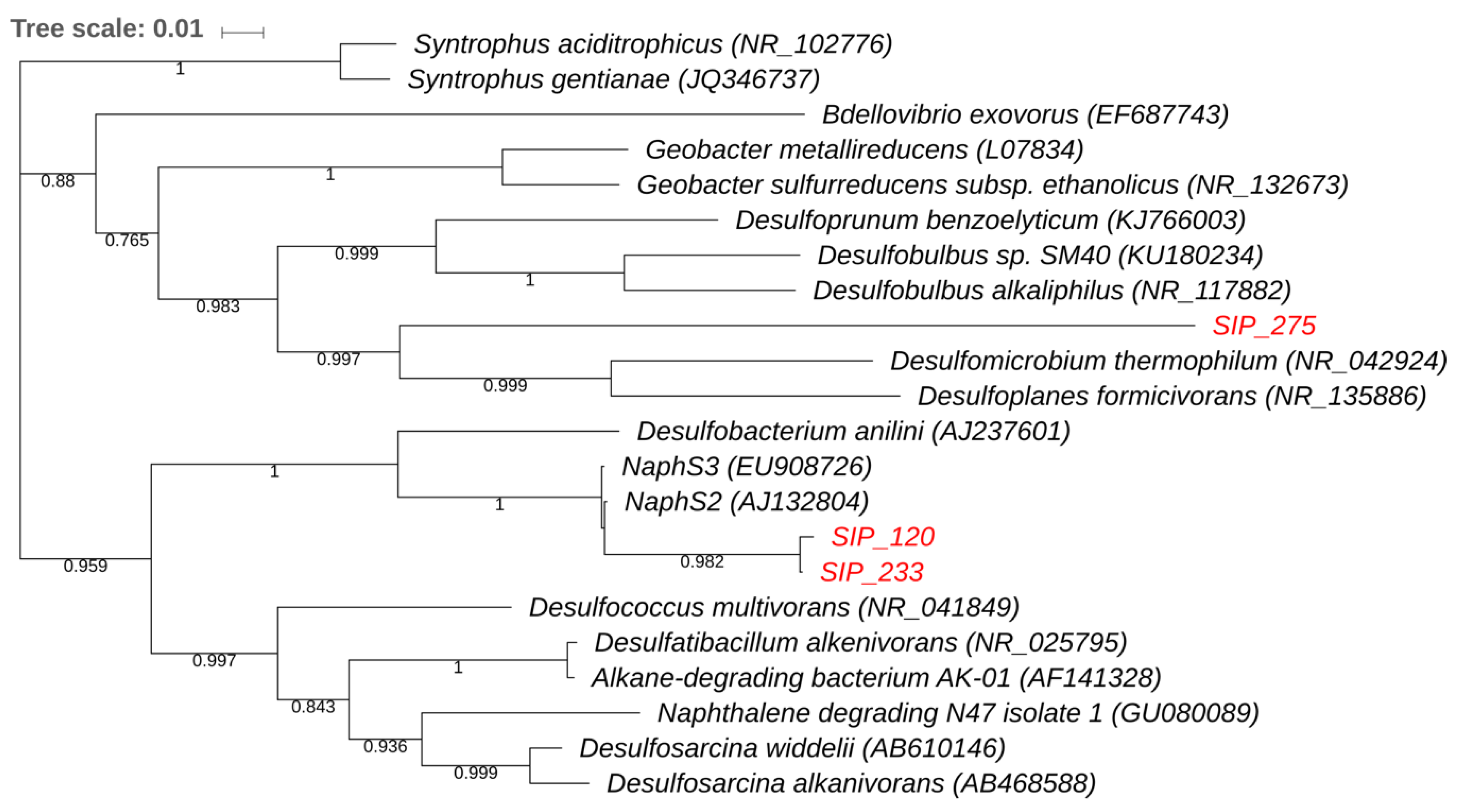 Microorganisms 06 00059 g005