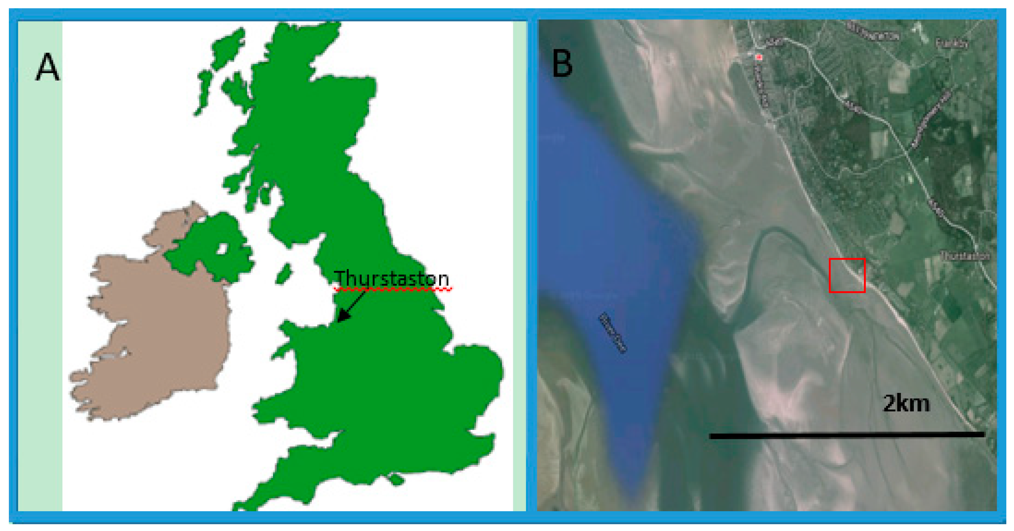 Microorganisms 06 00061 g002