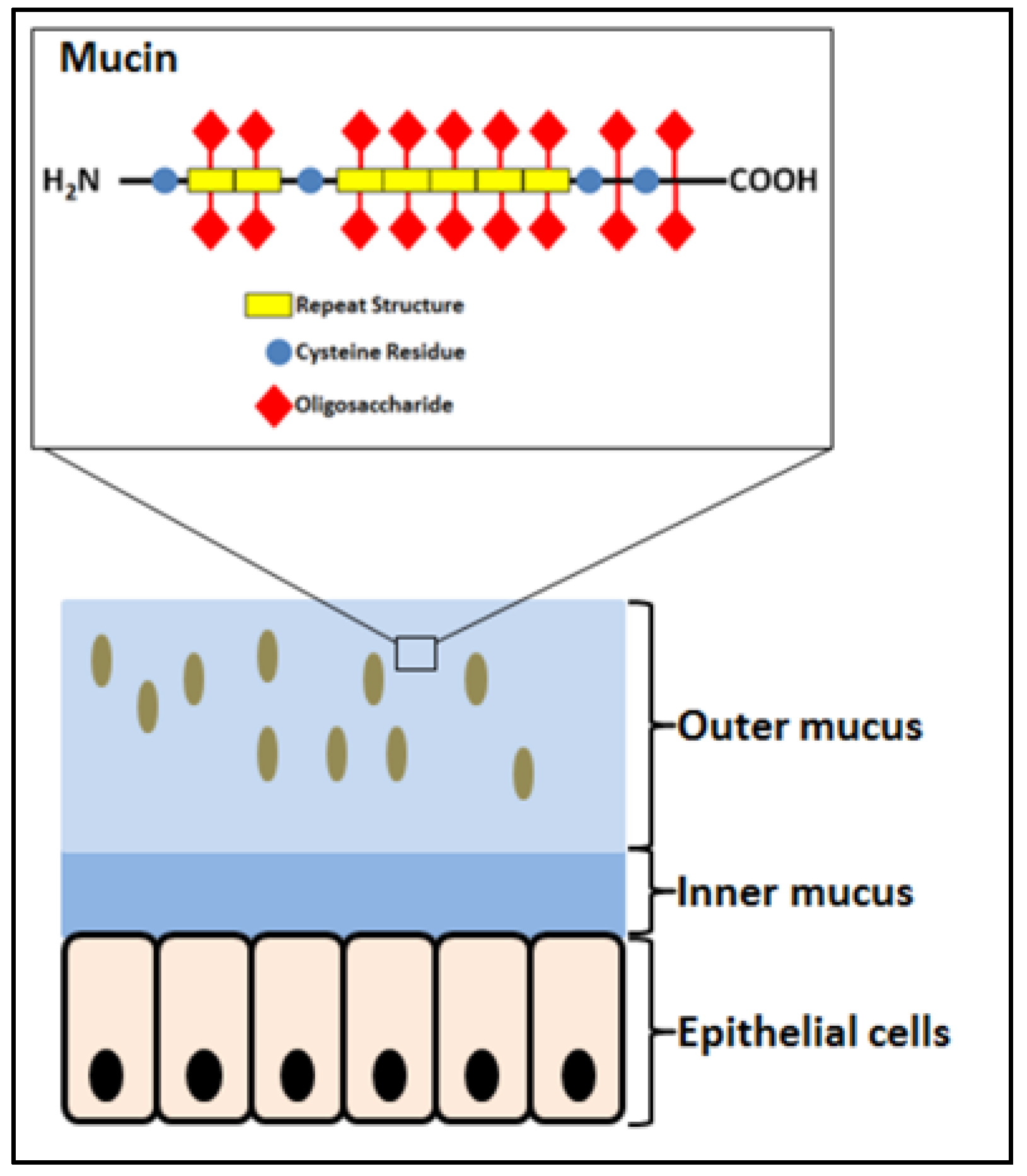 Microorganisms 06 00090 g001
