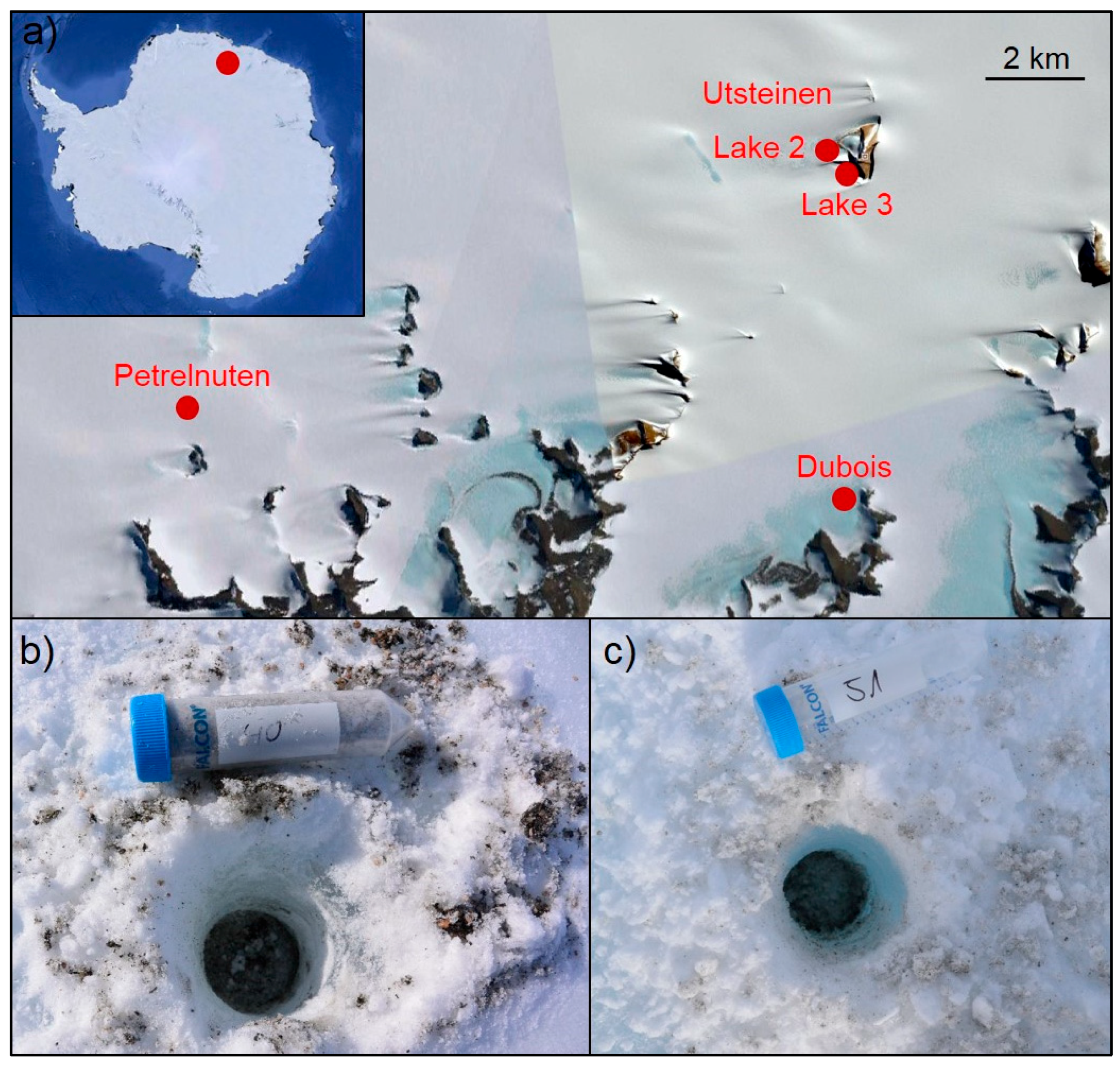 Microorganisms 07 00160 g001