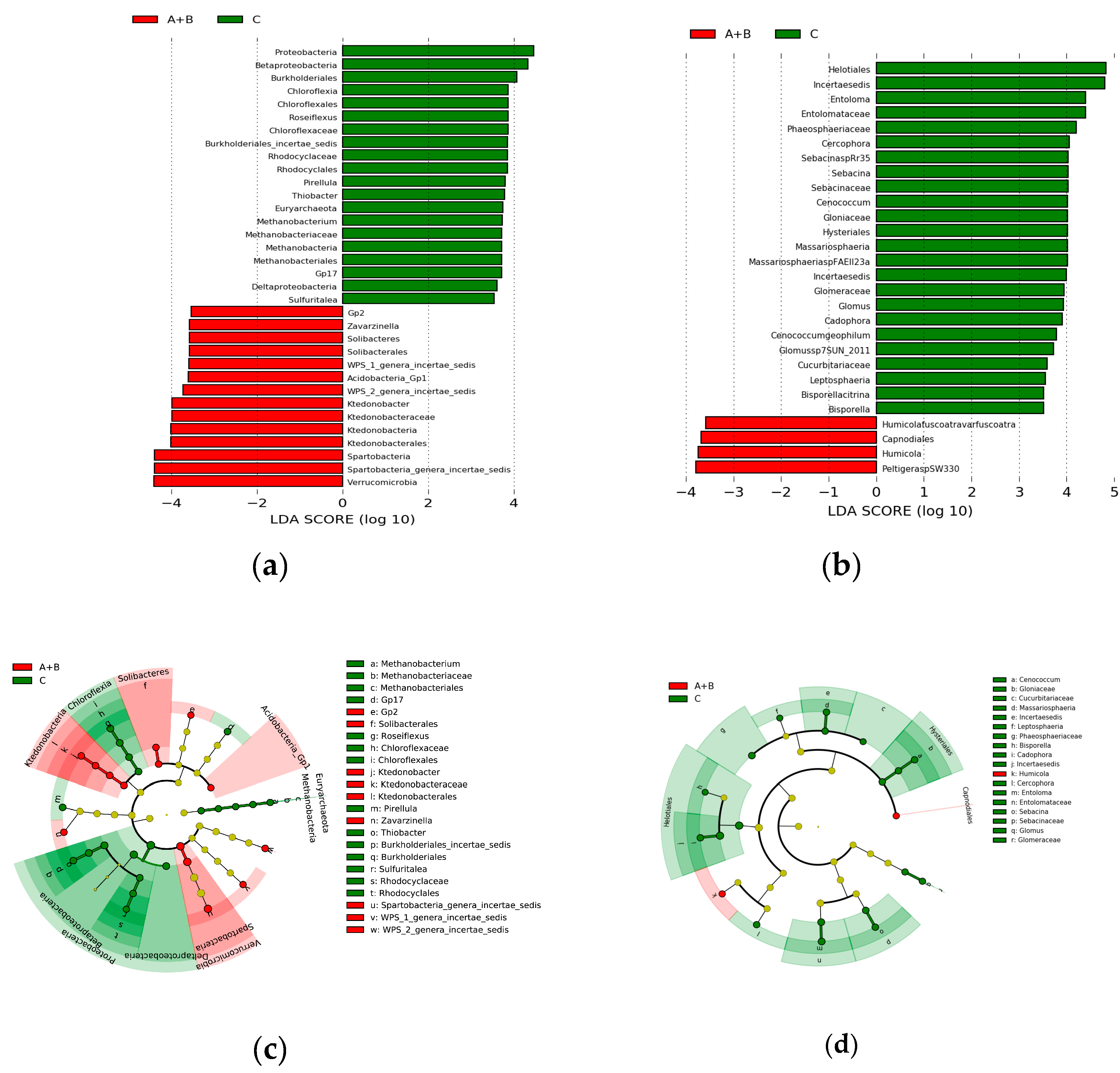 Microorganisms 07 00284 g006