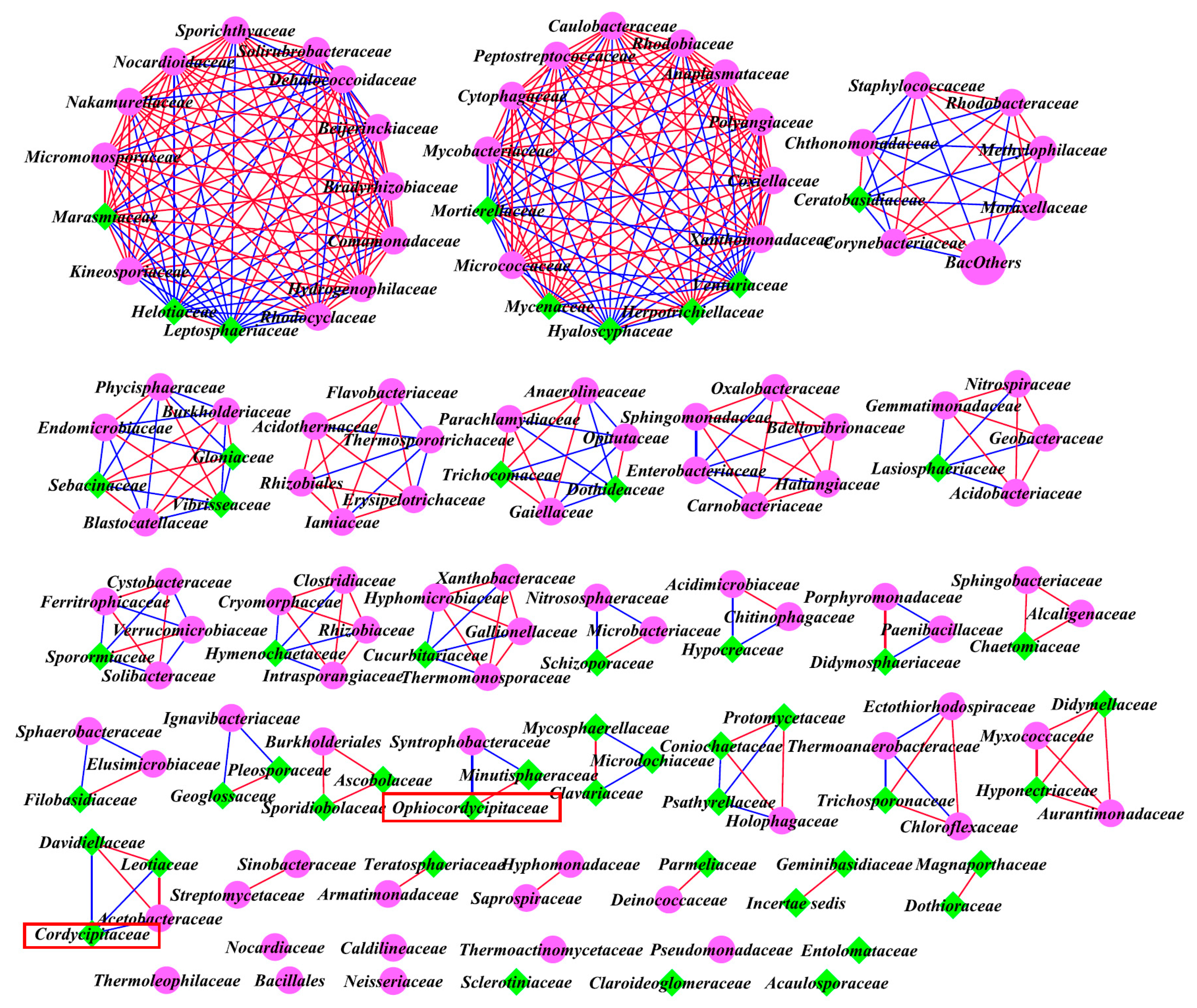 Microorganisms 07 00284 g010