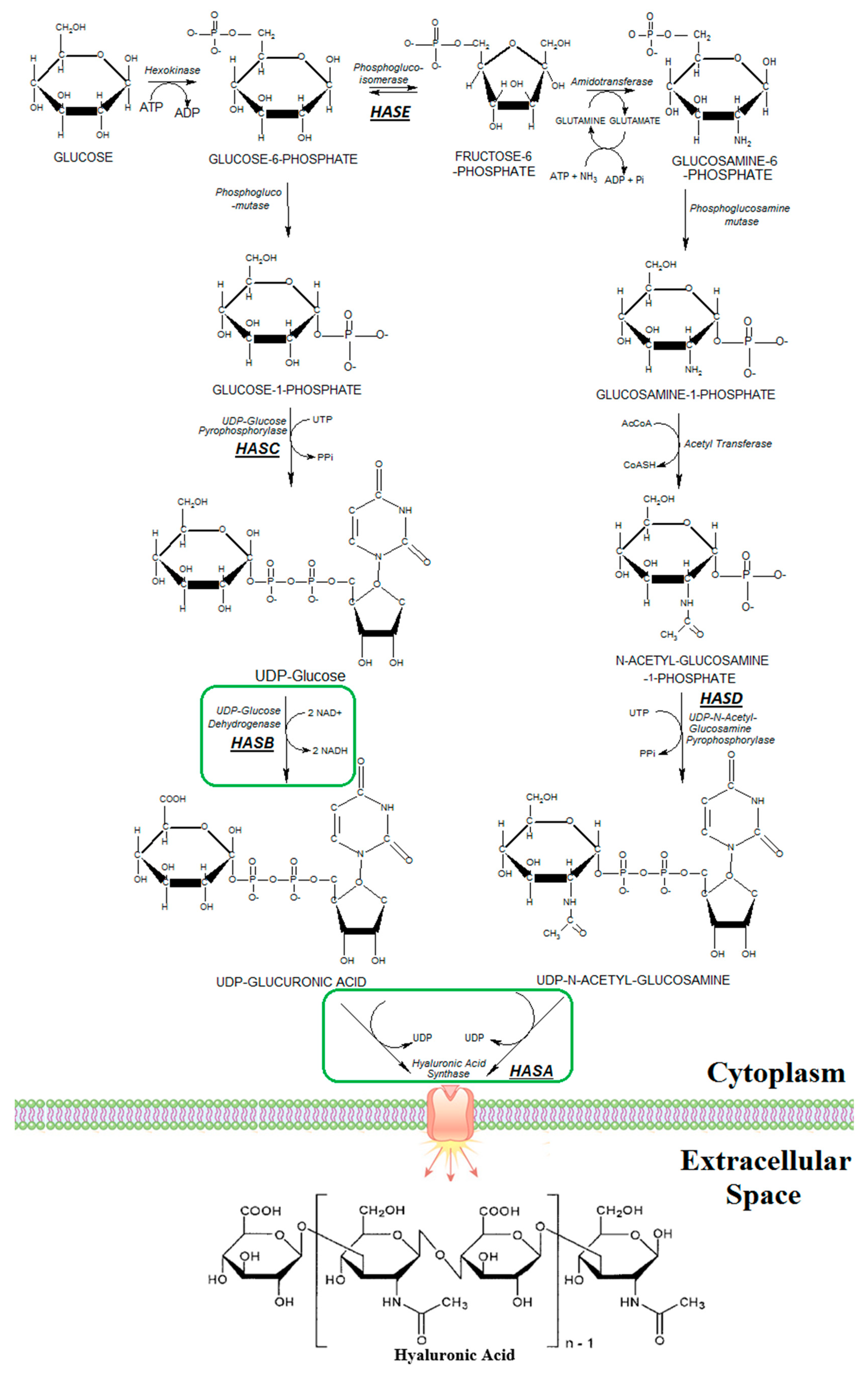 Microorganisms 07 00294 g001 Microorganisms 07 00294 g001