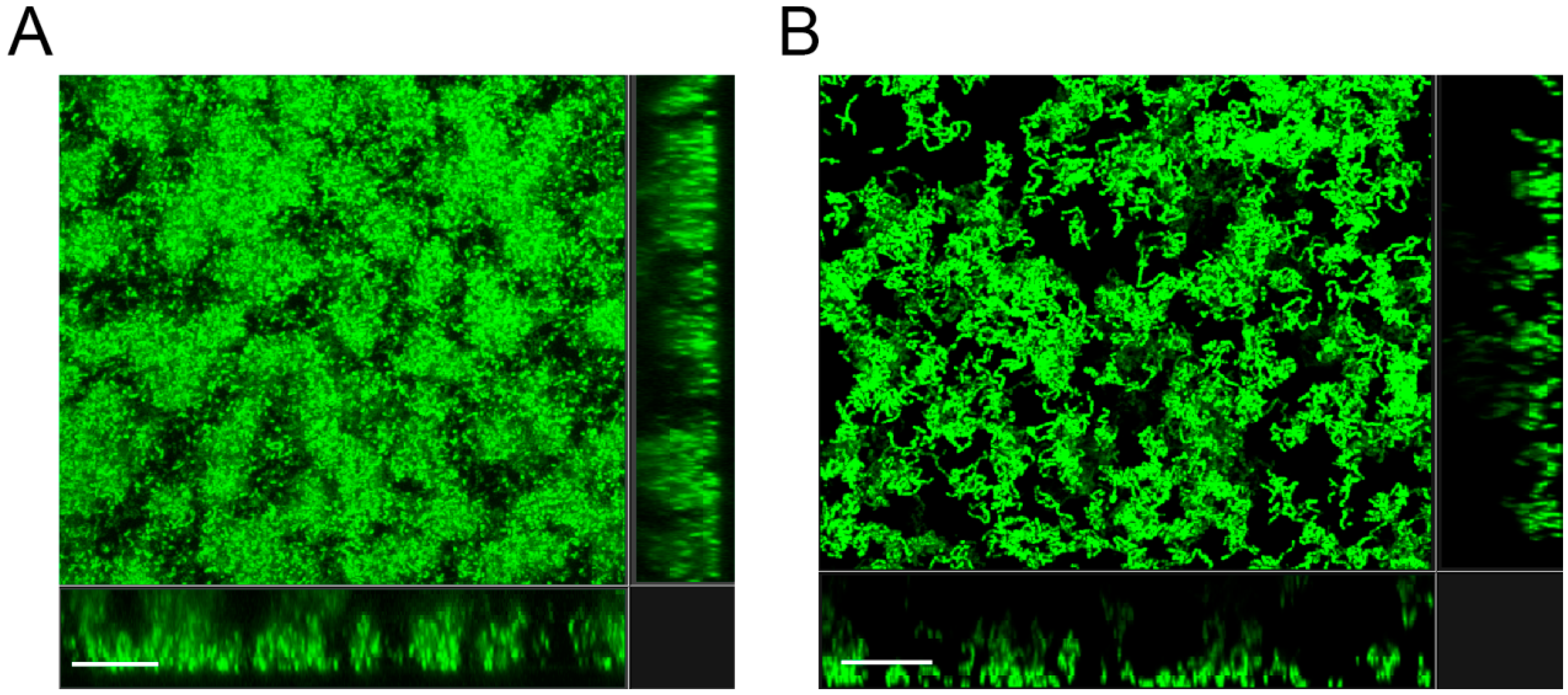 Microorganisms 07 00310 g003