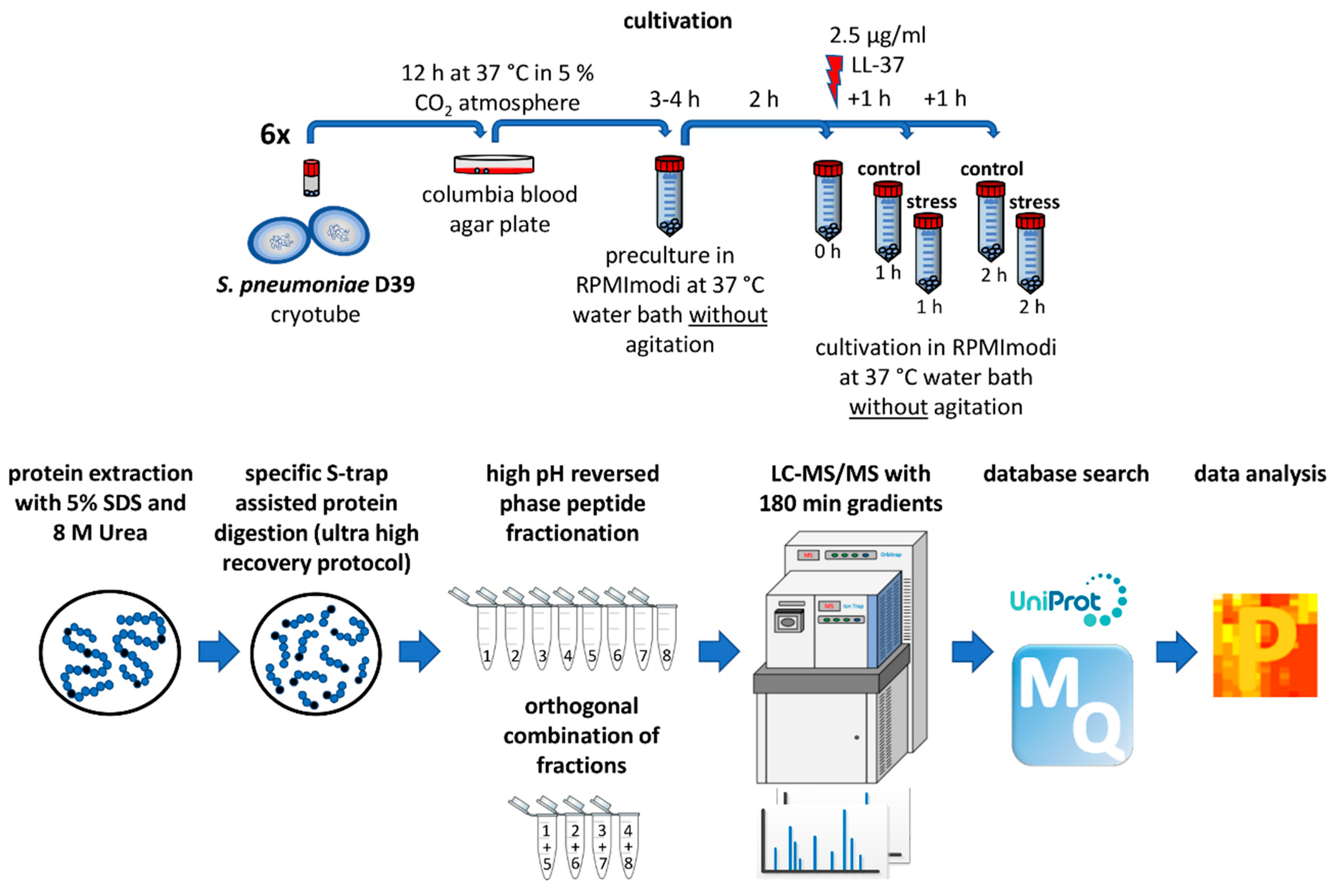 Microorganisms 08 00413 g001 Microorganisms 08 00413 g001